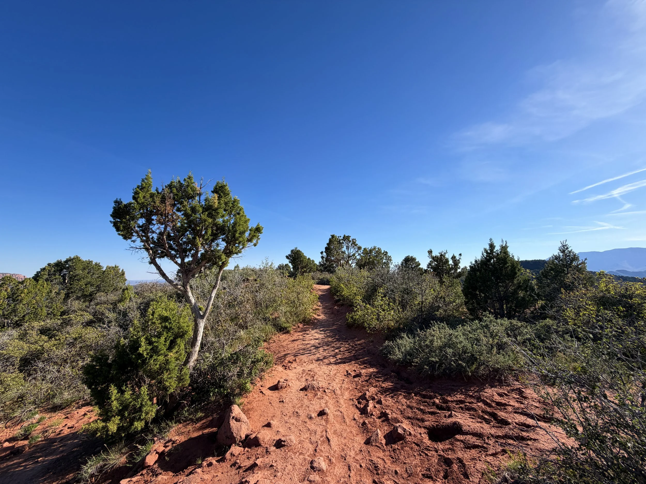 Timber Creek Overlook Trail Zion National Park Utah