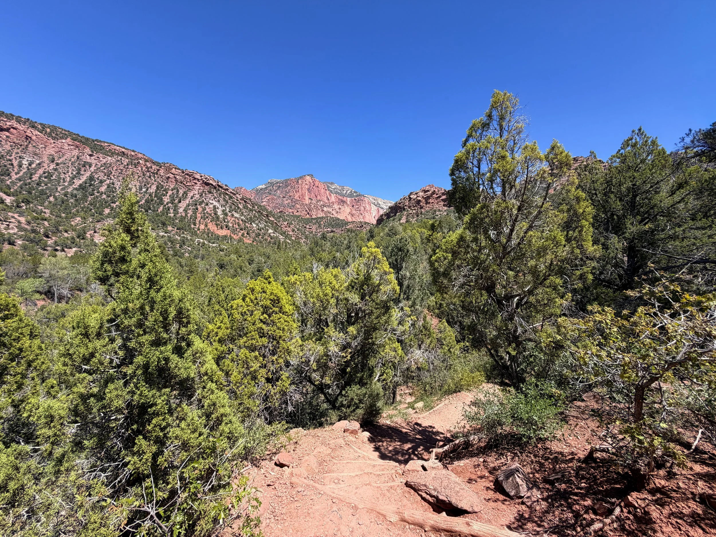 Taylor Creek Trail Zion National Park Utah