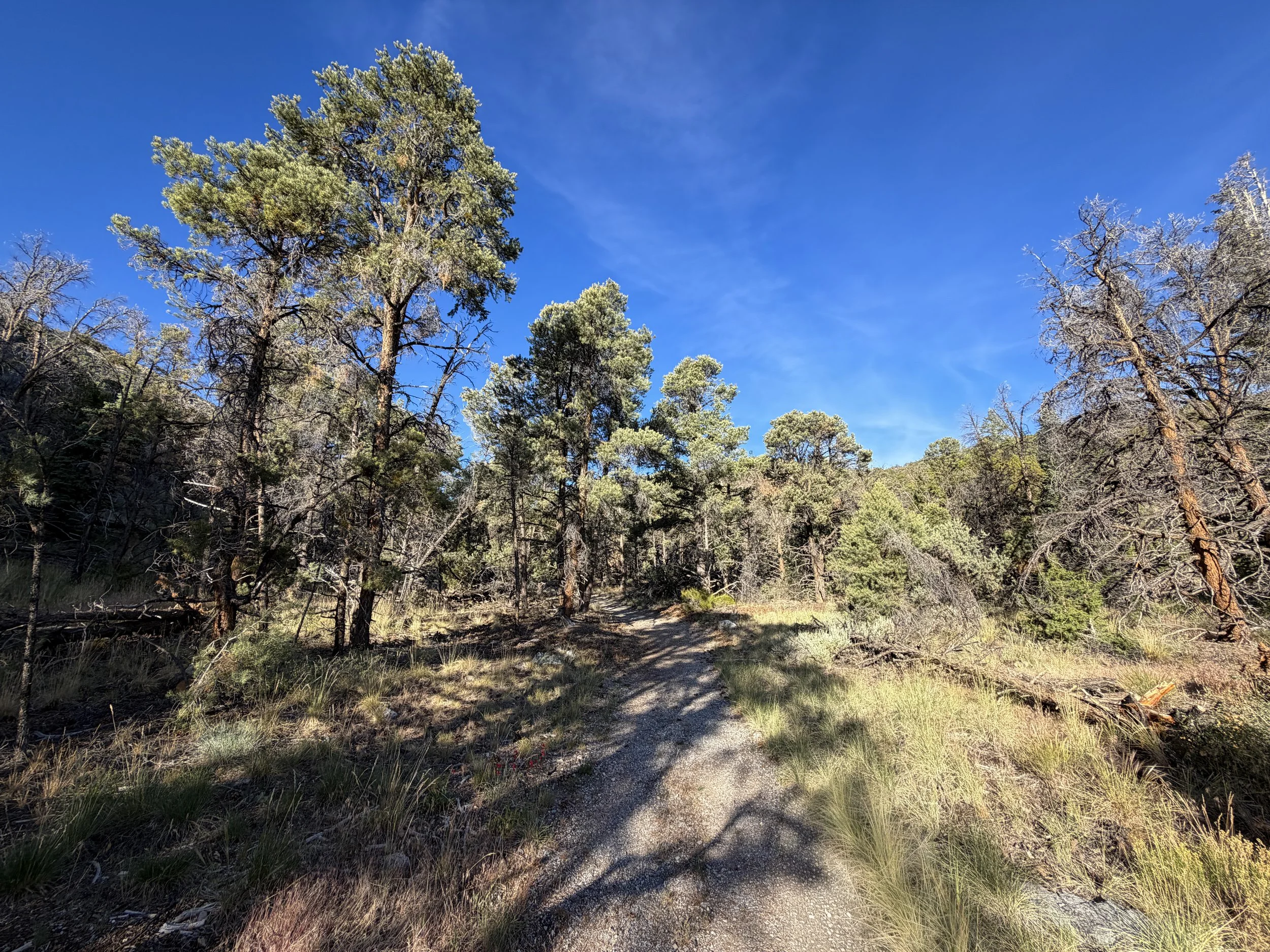 Pole Canyon Trail Great Basin National Park Nevada