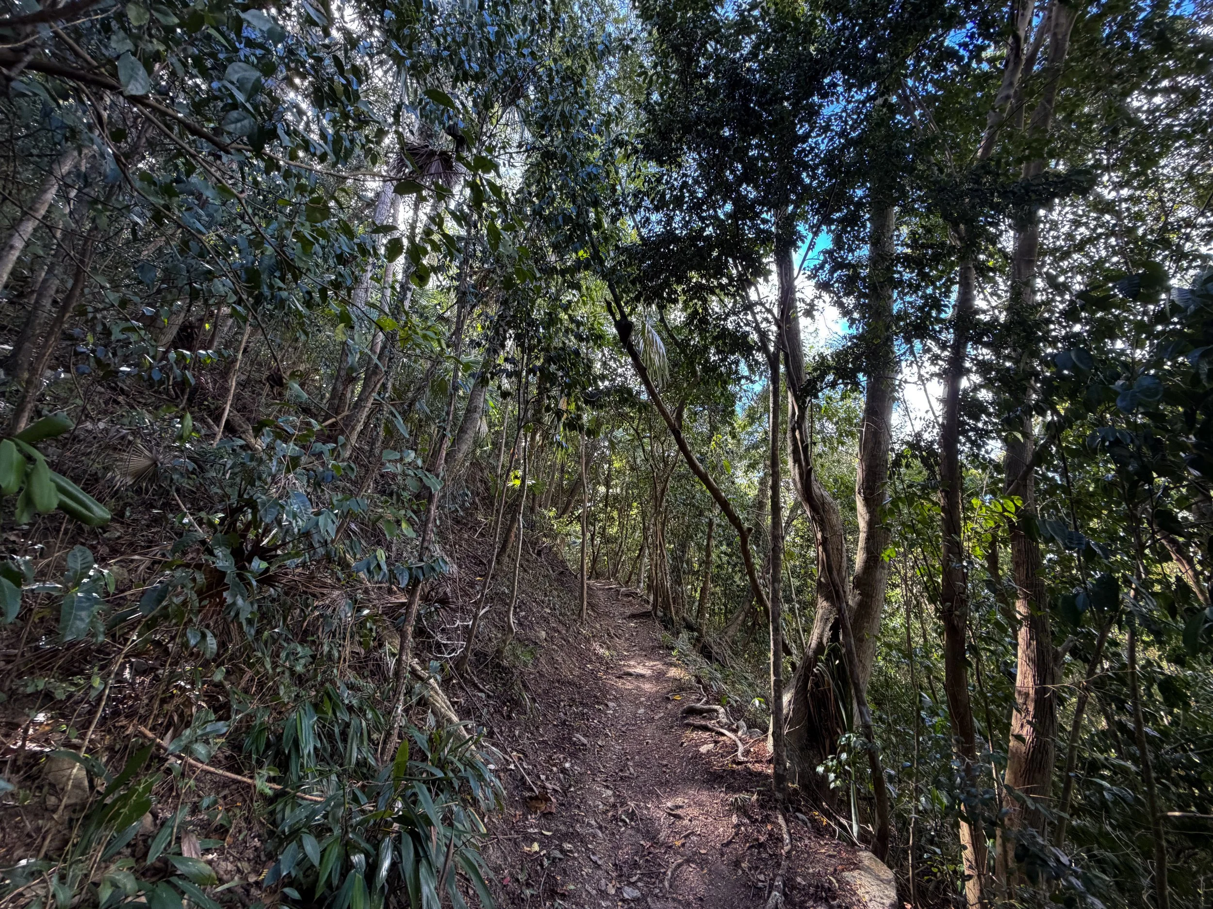Cinnamon Bay Trail Virgin Islands National Park