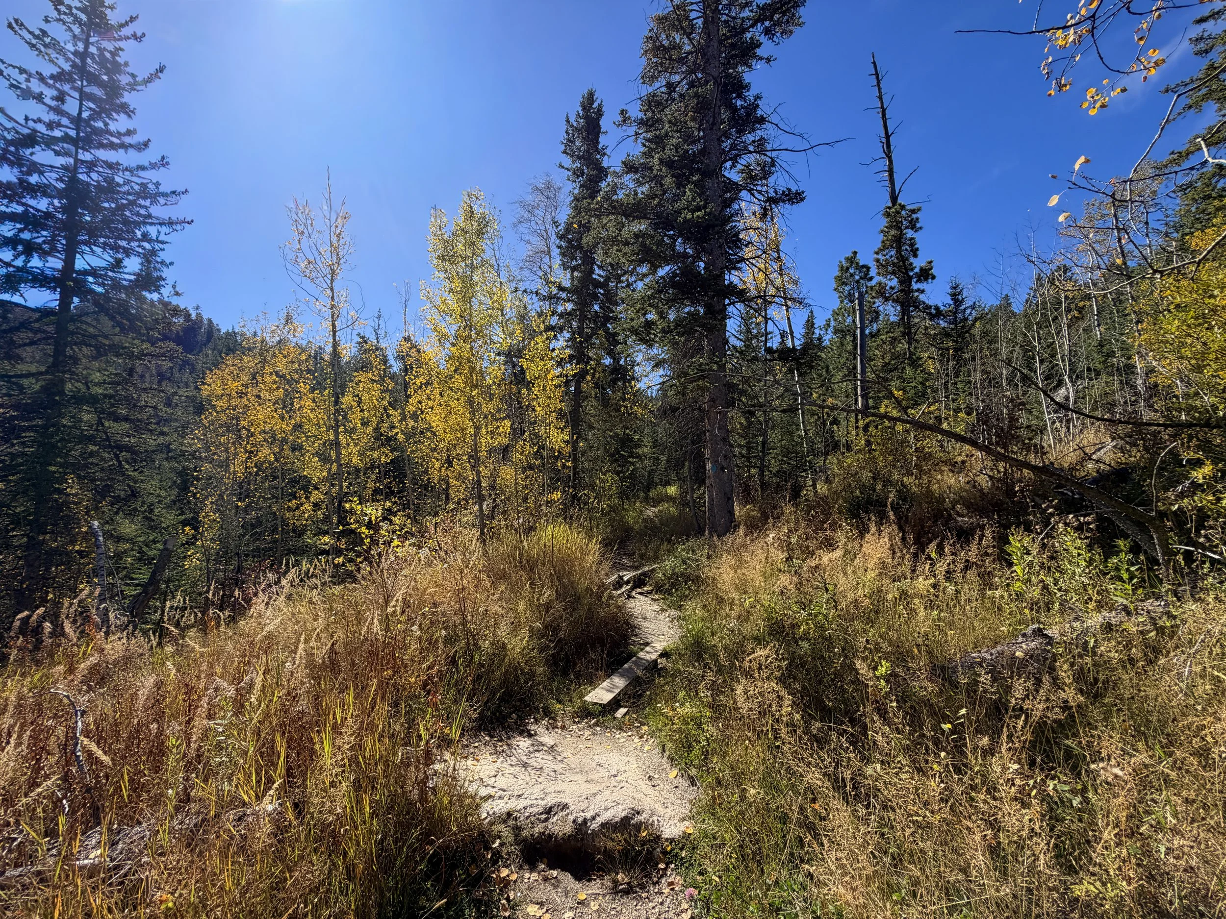 Sunday Gulch Trail Custer State Park Black Hills South Dakota