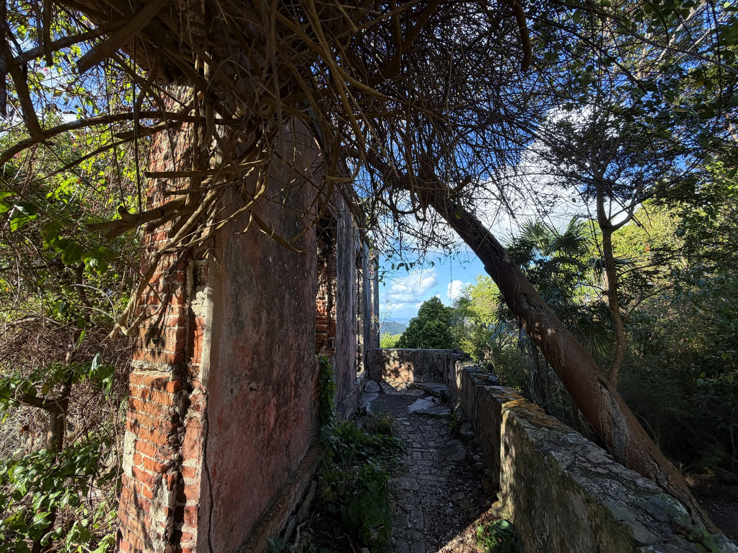 America Hill Ruins Virgin Islands National Park
