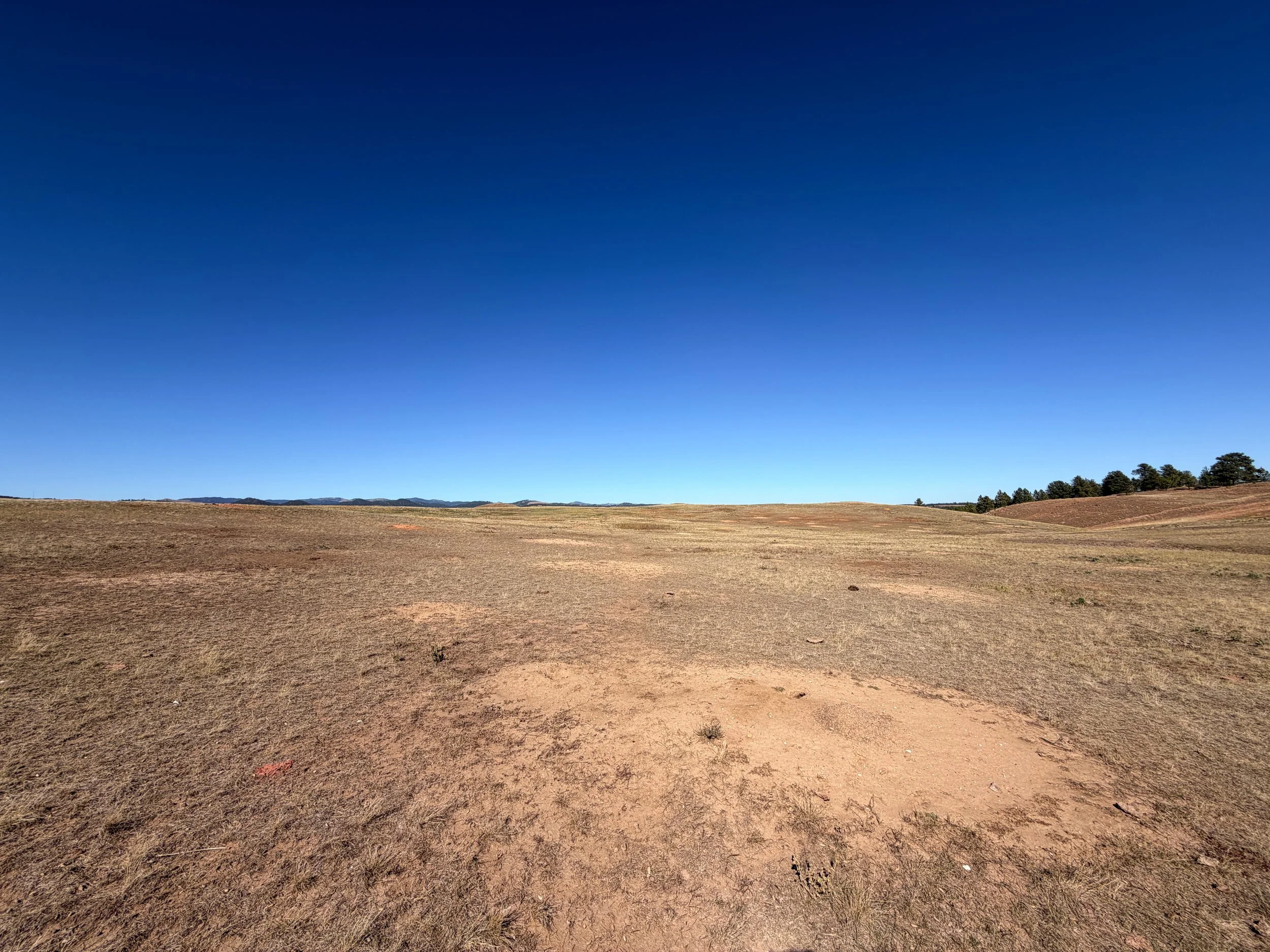 East Bison Flats Trail Wind Cave National Park South Dakota
