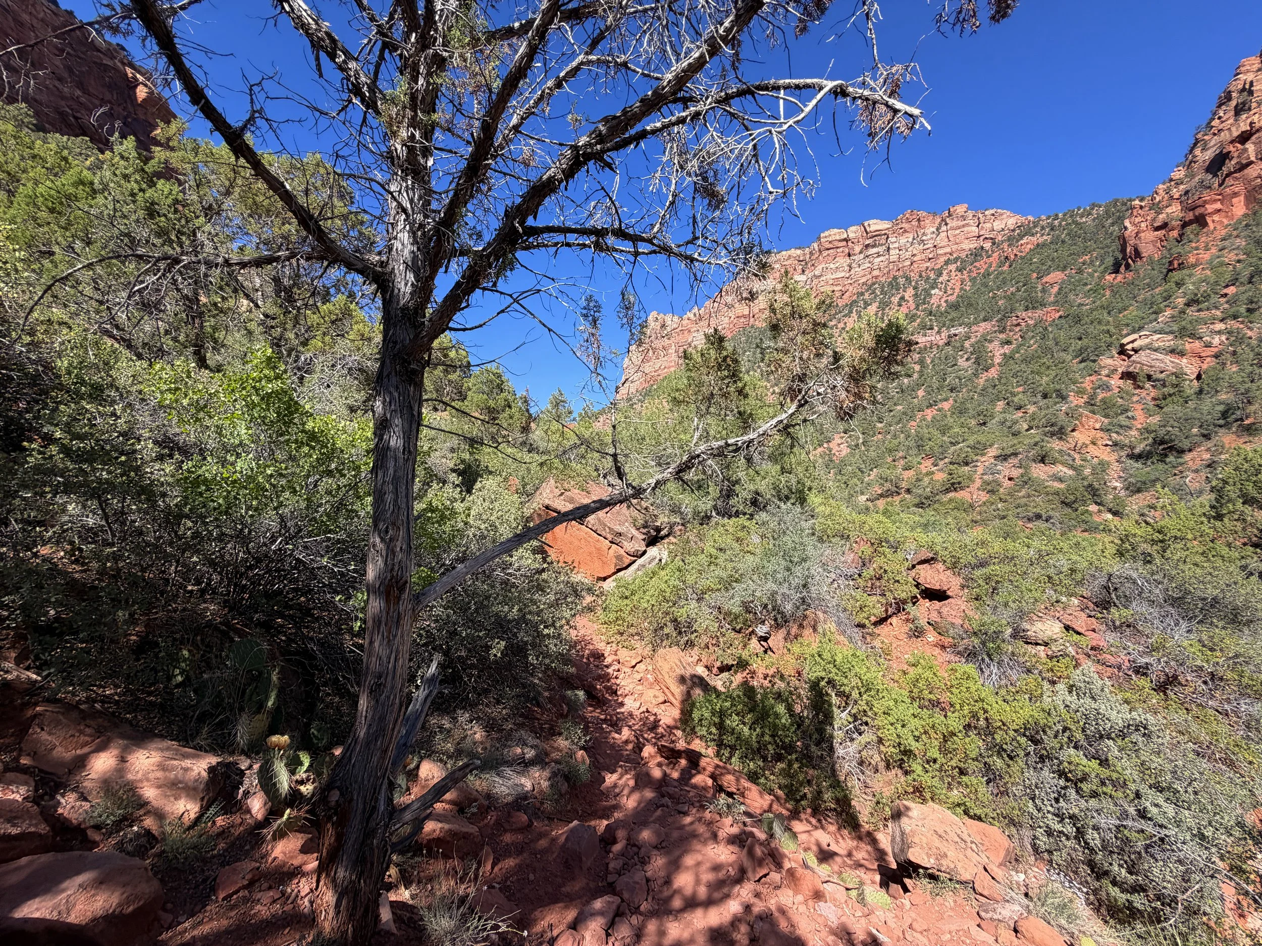 Subway Trail Bottom Up Zion National Park Utah