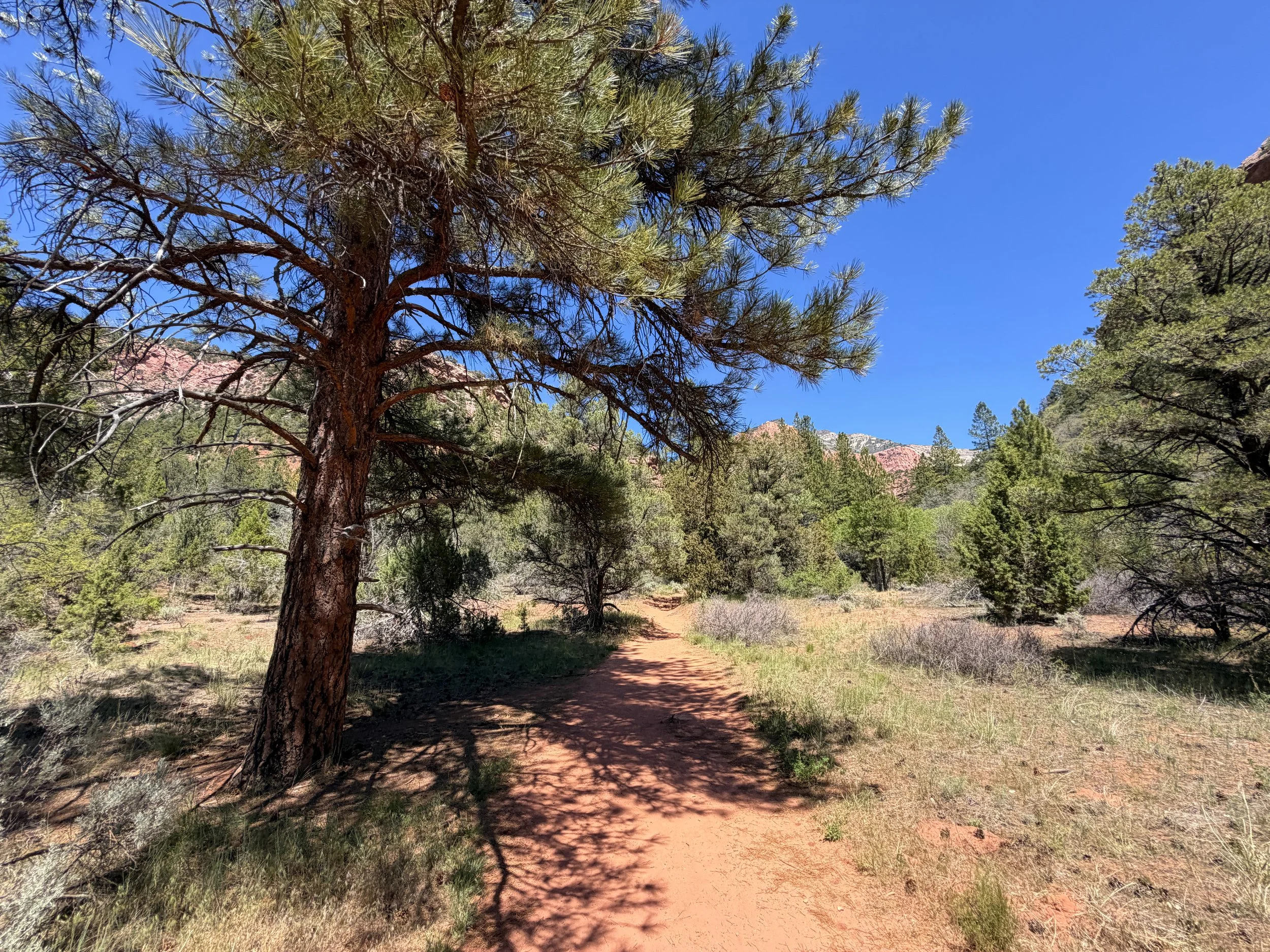 Taylor Creek Trail Zion National Park Utah