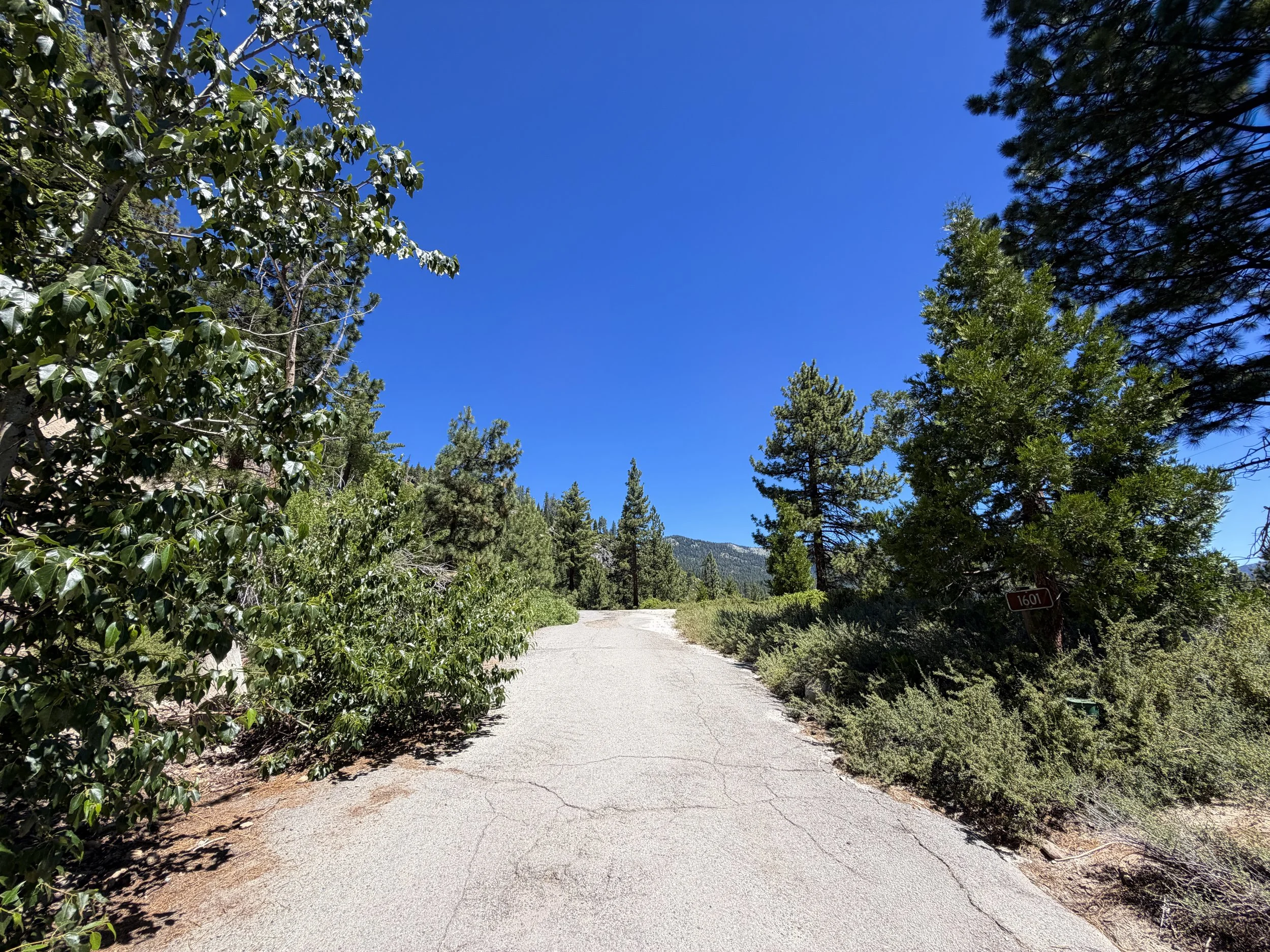 Stateline Lookout Trail Lake Tahoe Nevada