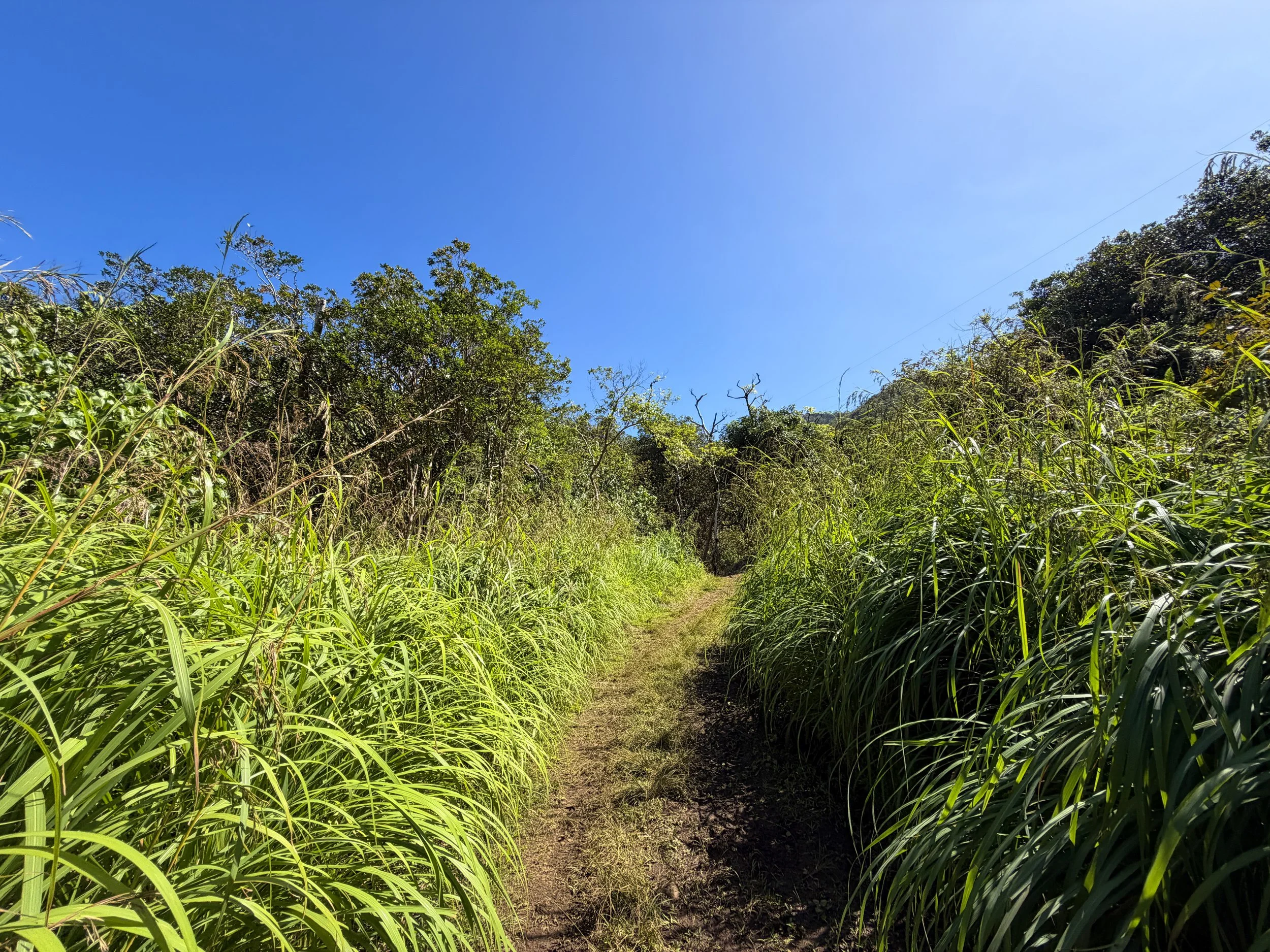Kulanaahane Trail Moanalua Valley Road Oahu Hawaii