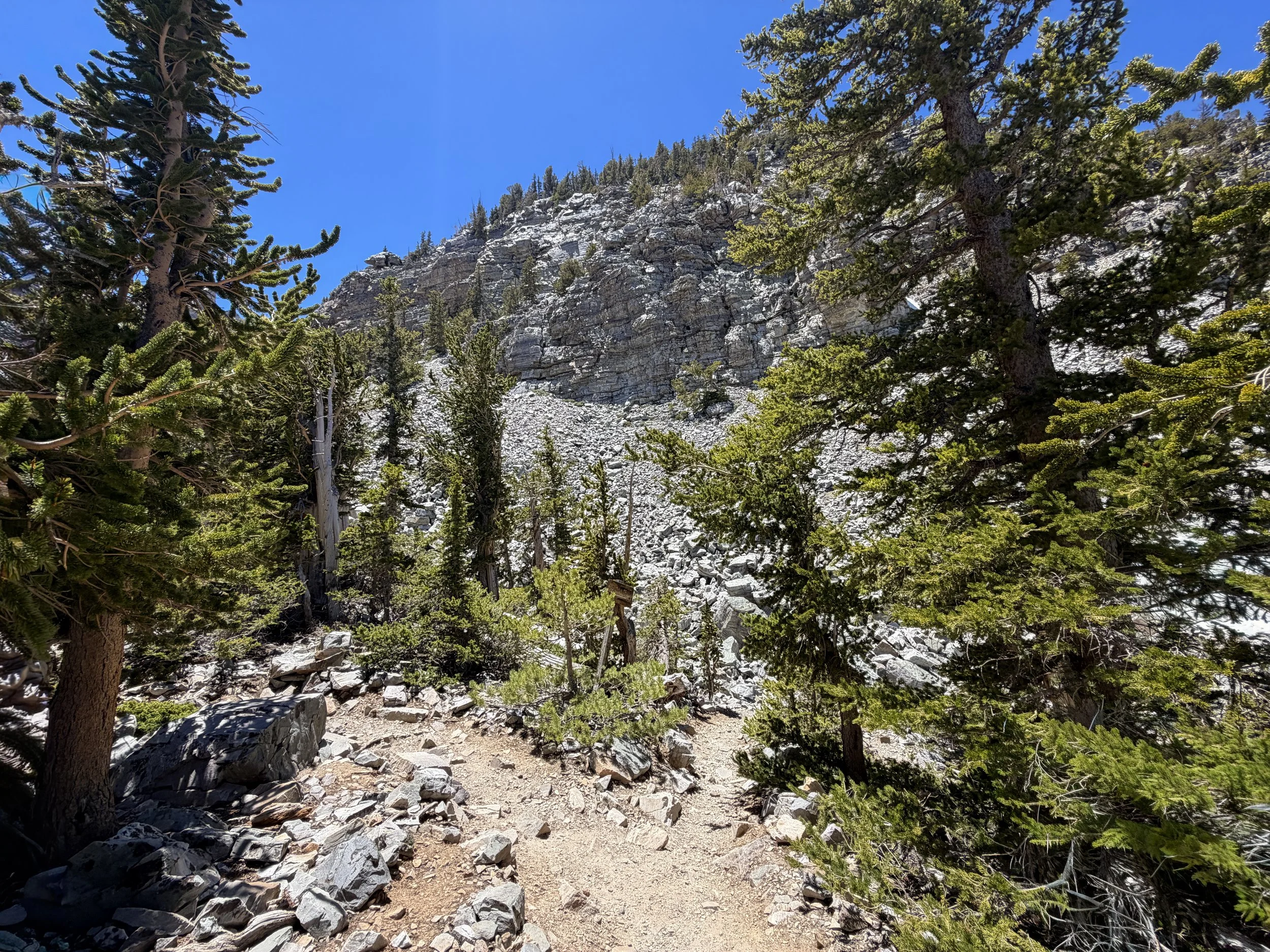 Bristlecone Interpretive Trail Great Basin National Park Nevada