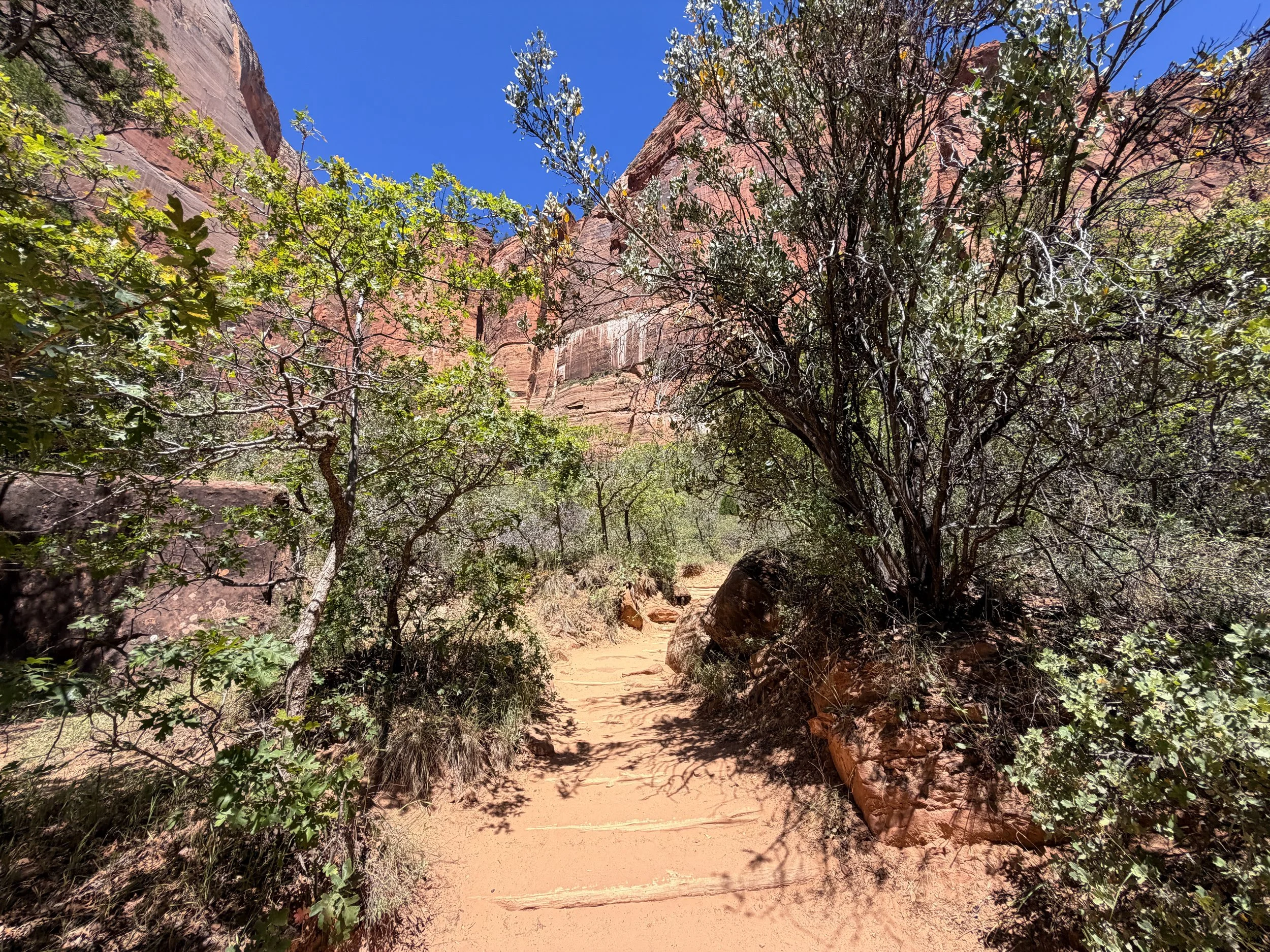 Upper Emerald Pools Trail Zion National Park Utah