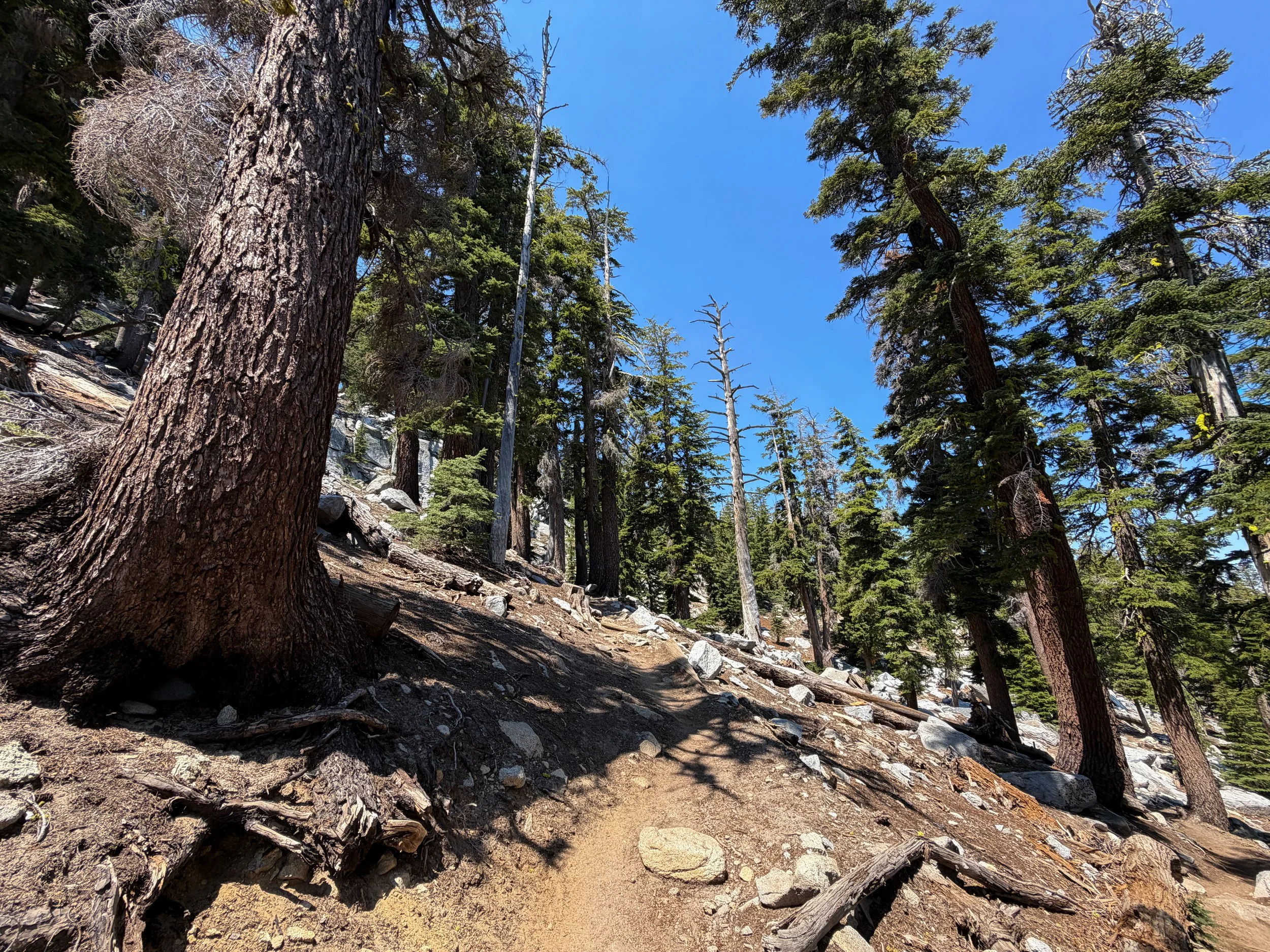 Maggies Peak Hike Lake Tahoe California