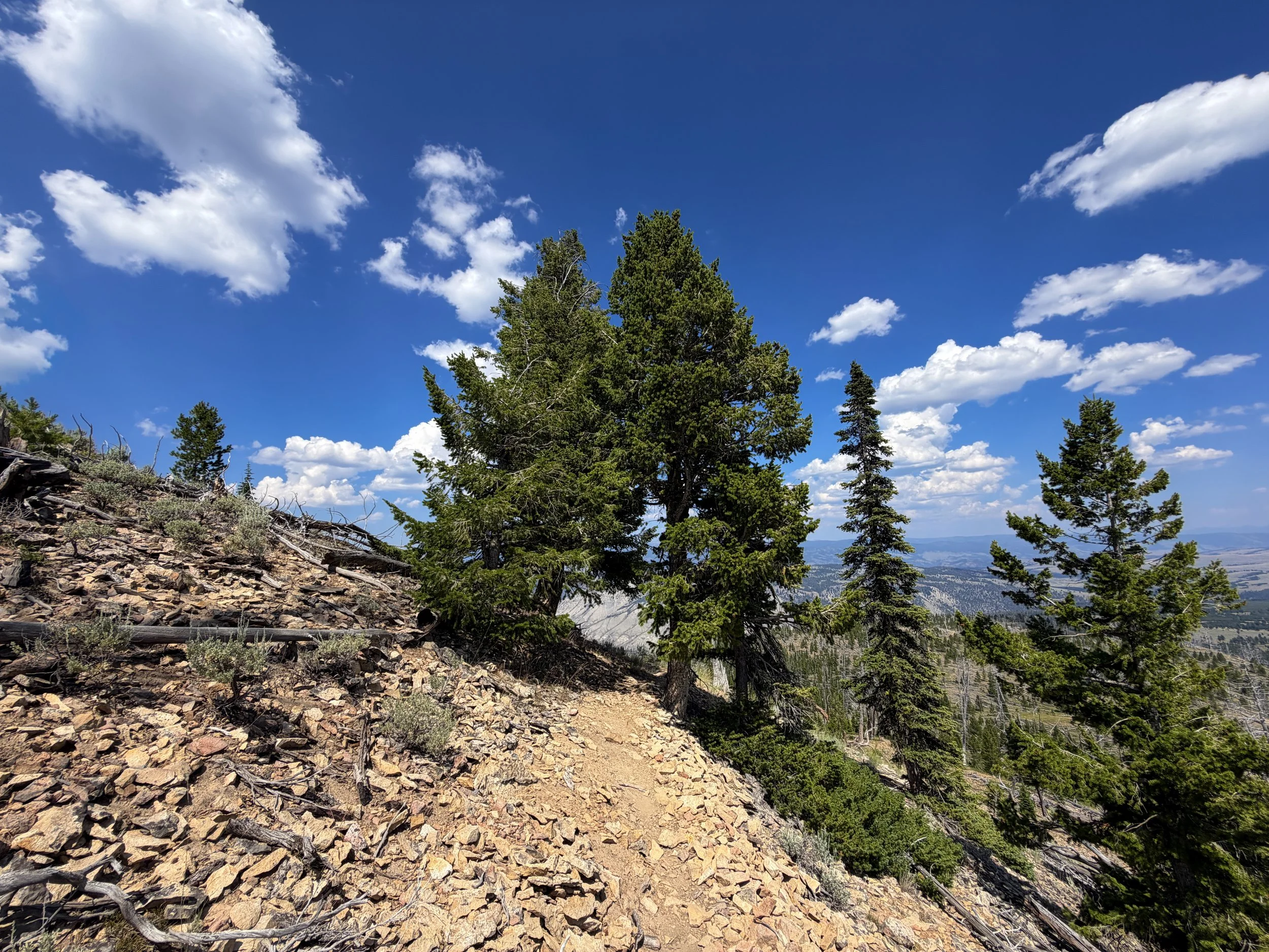 Bunsen Peak Loop Trail Yellowstone National Park Wyoming