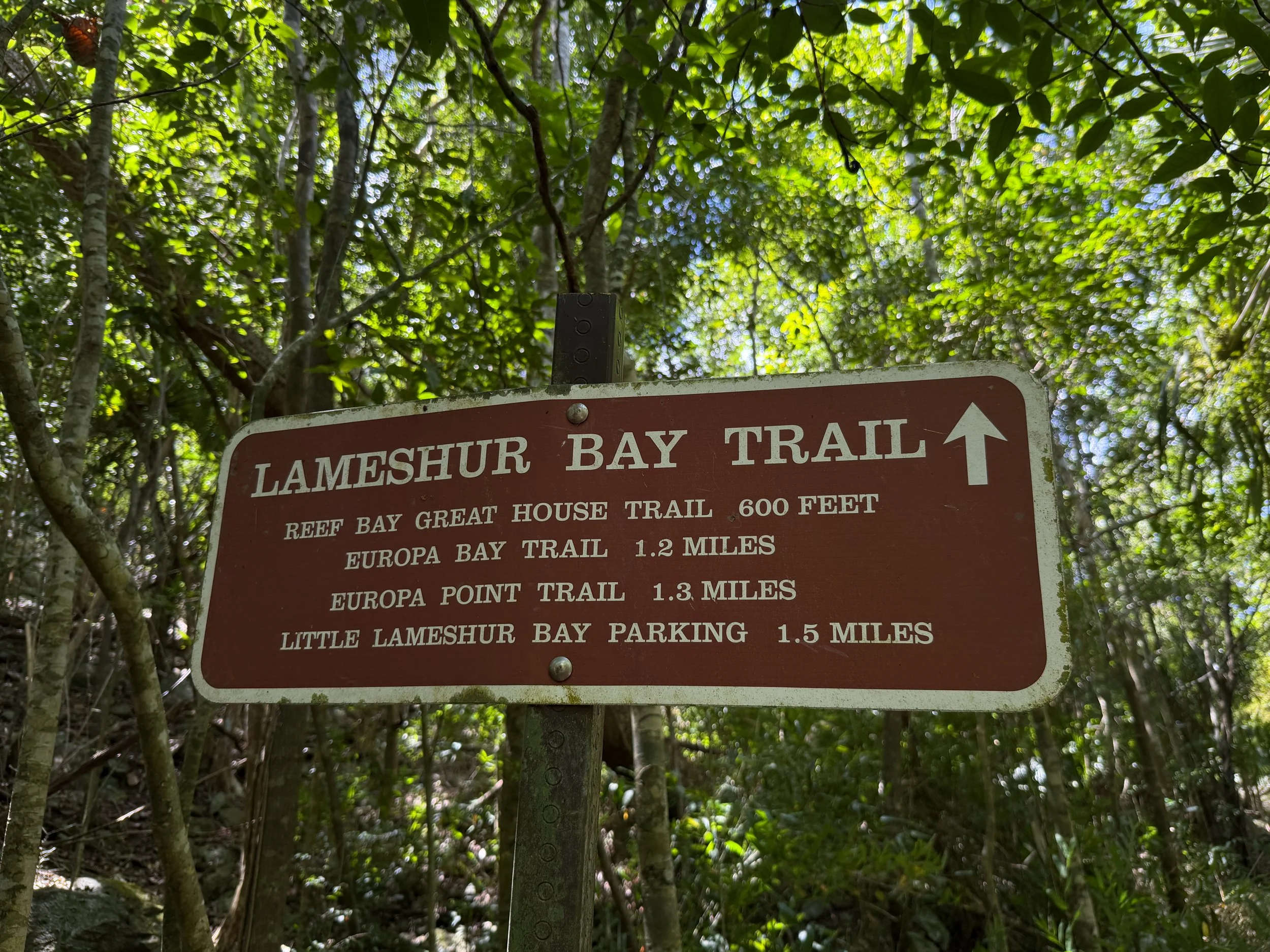 Lameshur Bay Trail to Petroglyphs Trail Virgin Islands National Park