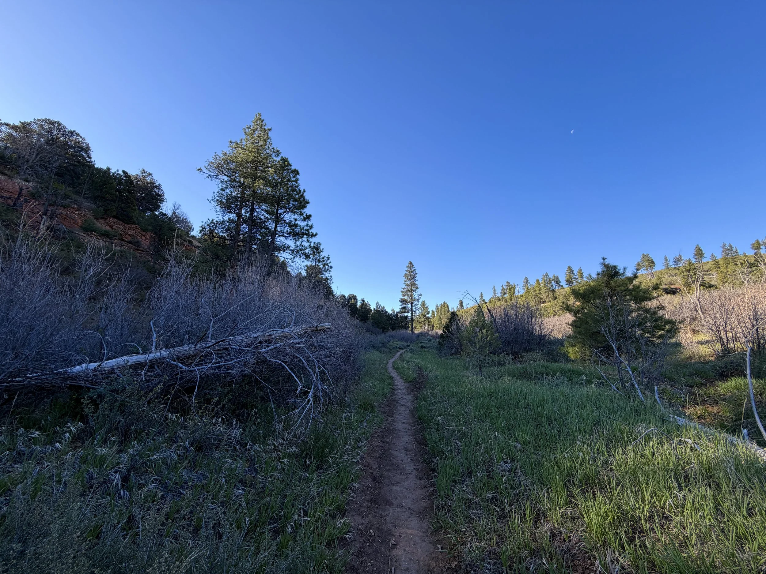 Deertrap Mountain Trail via Stave Spring Zion National Park Utah