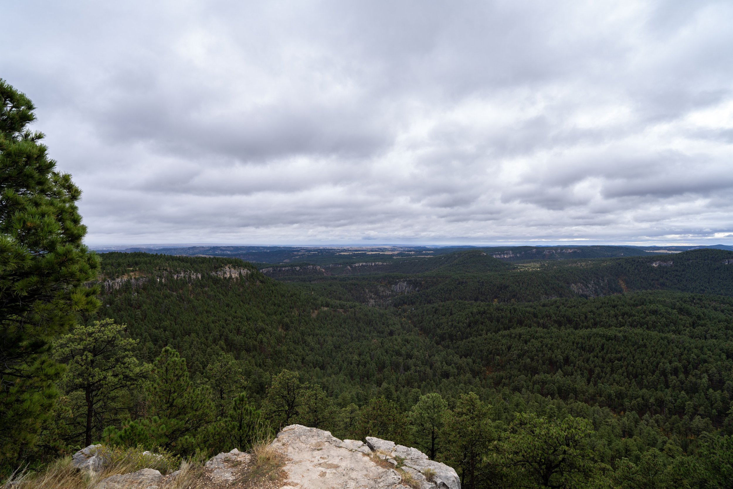 Buzzards Roost Trail Black Hills South Dakota