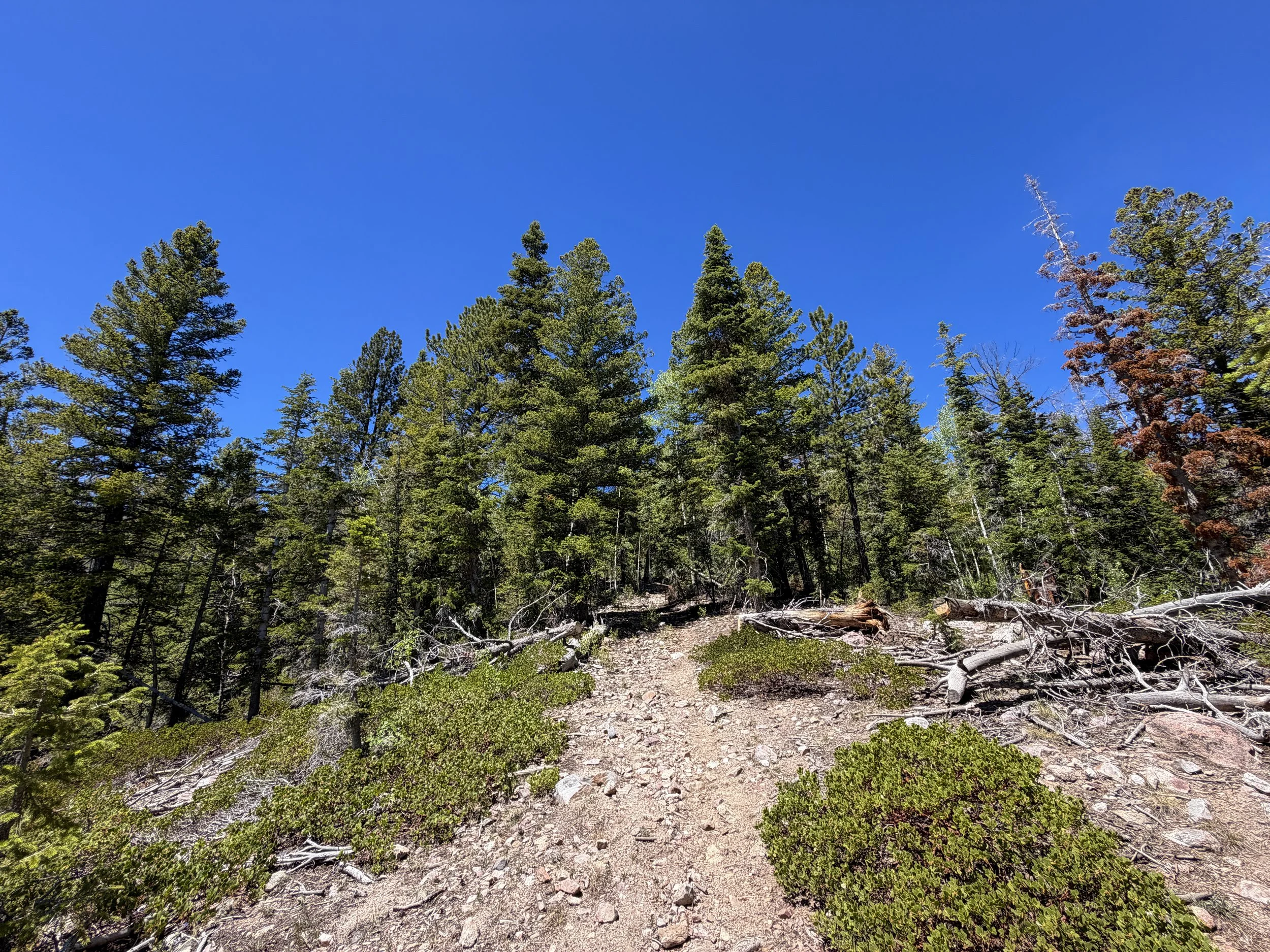 Dead Lake Hike Great Basin National Park Nevada