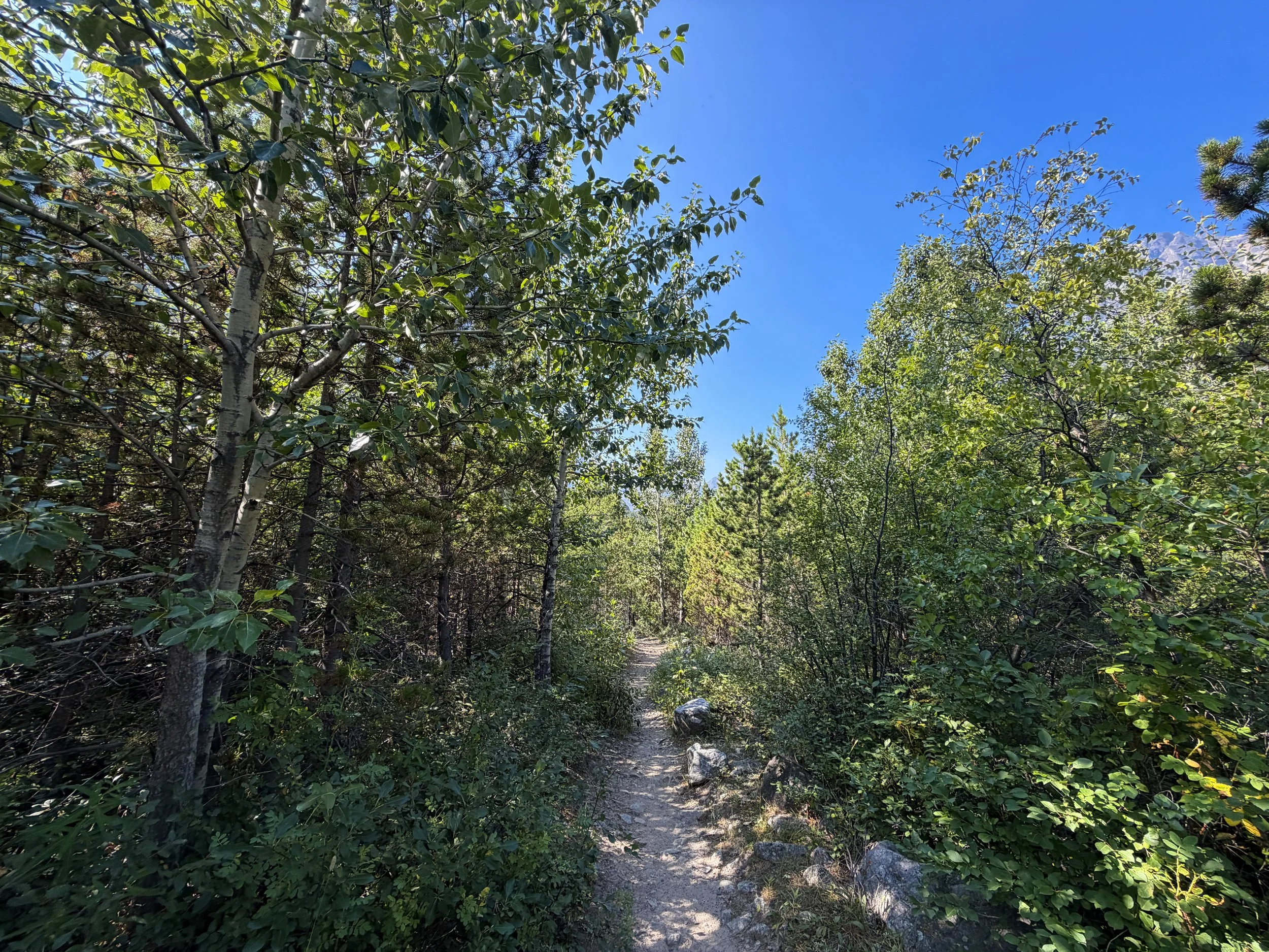 East Rosebud Trail Beartooth Mountains Montana