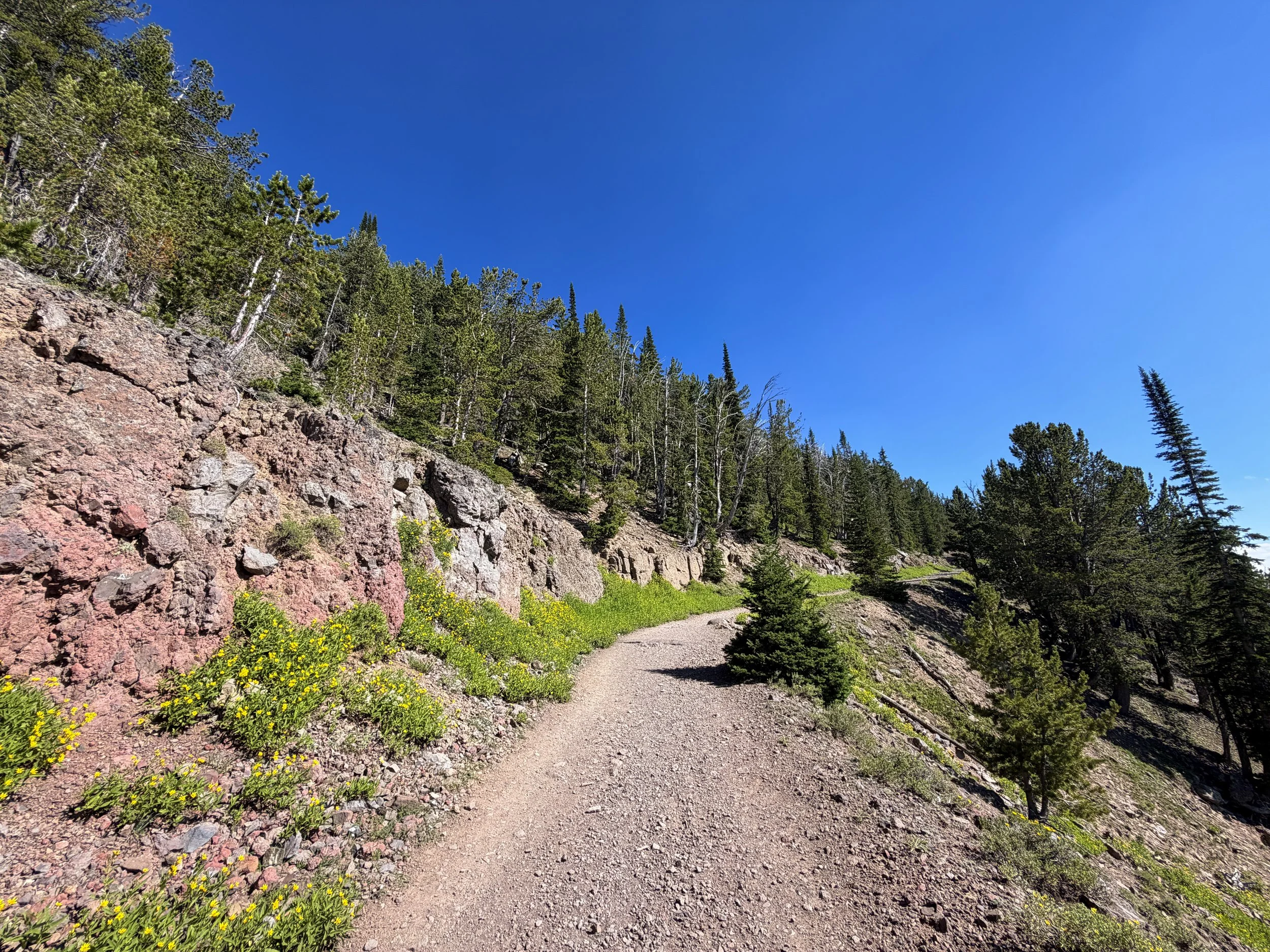 Mt. Washburn Hike via Dunraven Pass Yellowstone National Park Wyoming