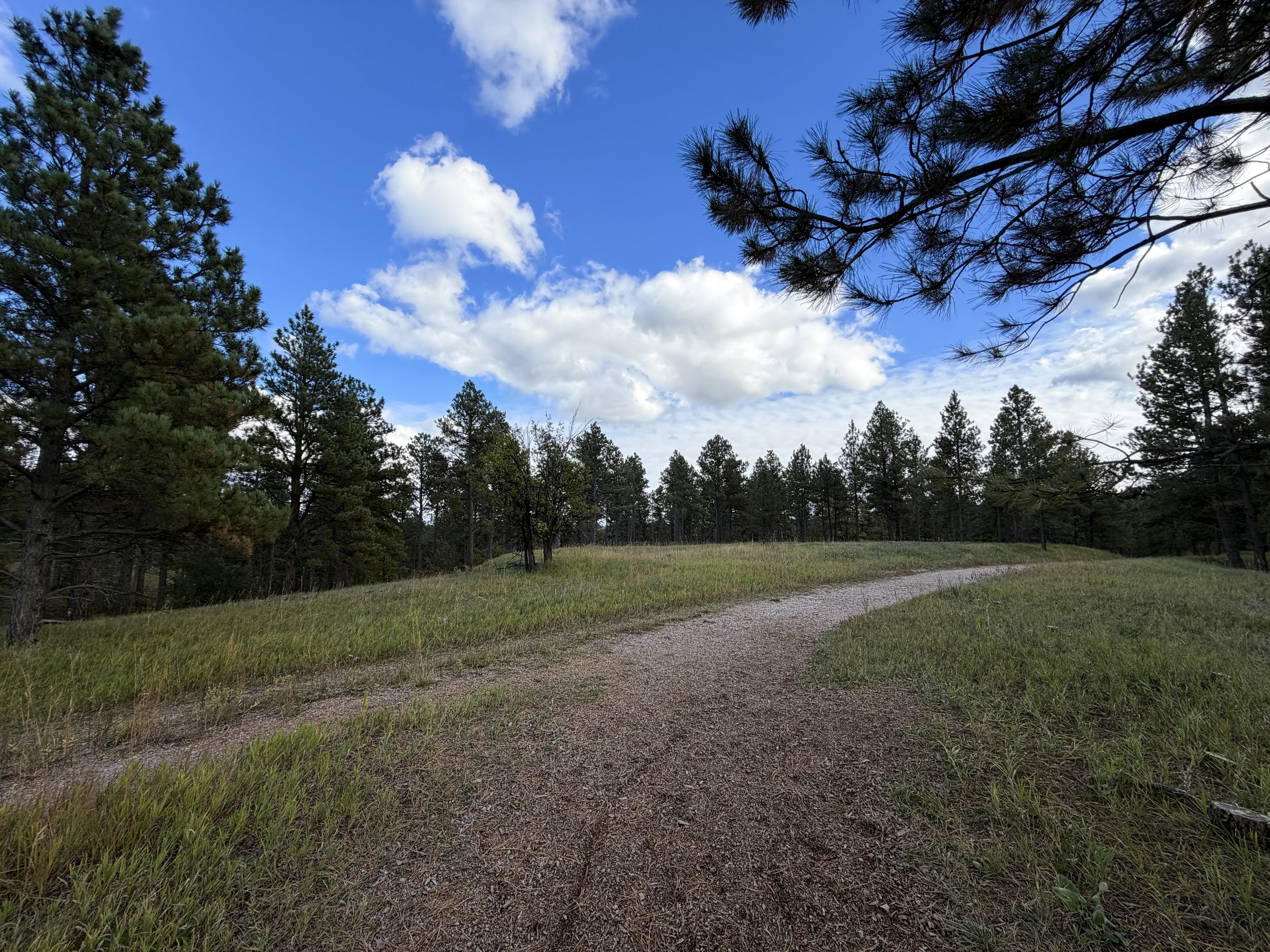 Stratosphere Bowl Trail Black Hills South Dakota