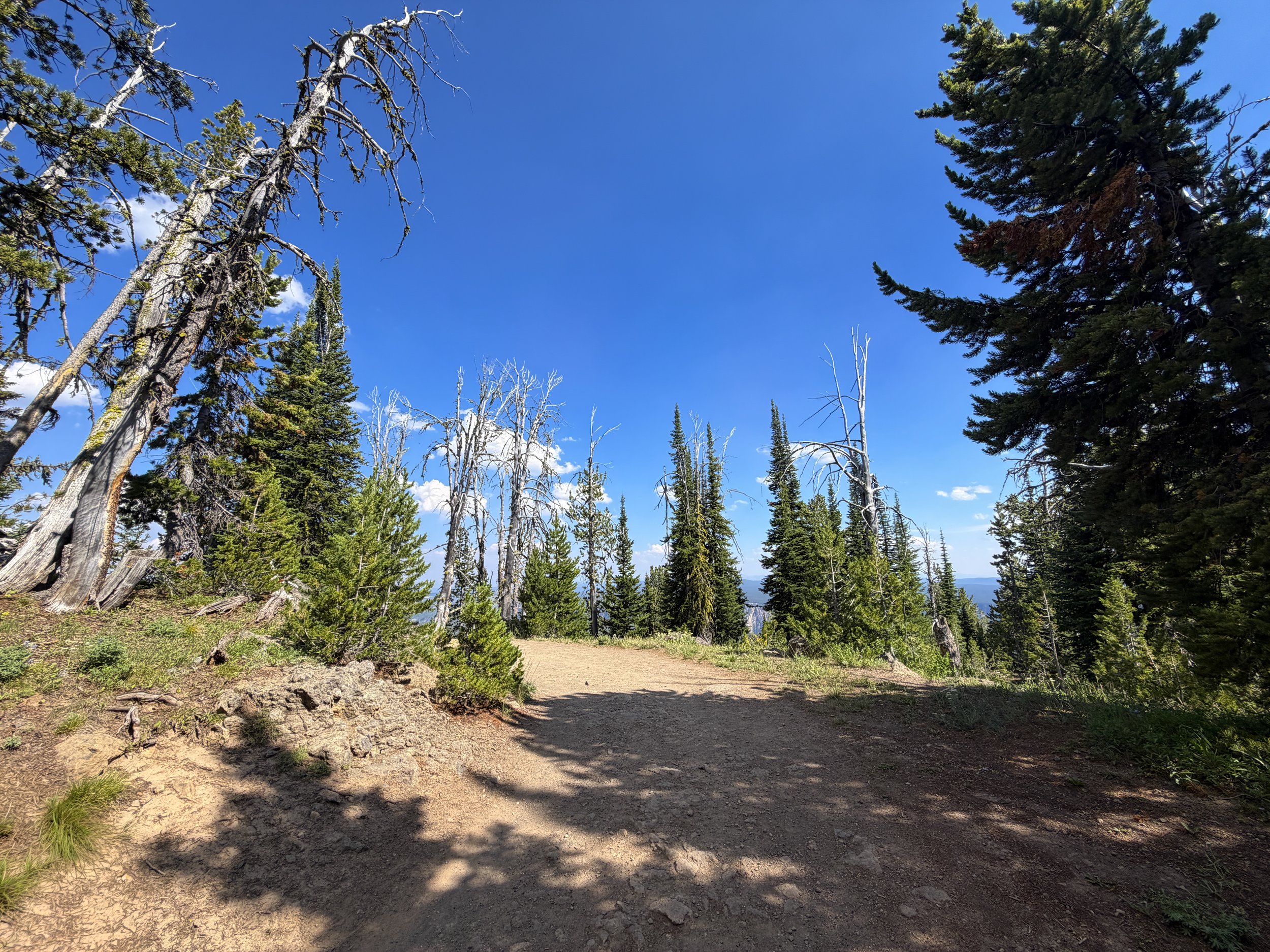 Mt. Washburn Trail via Dunraven Pass Yellowstone National Park Wyoming