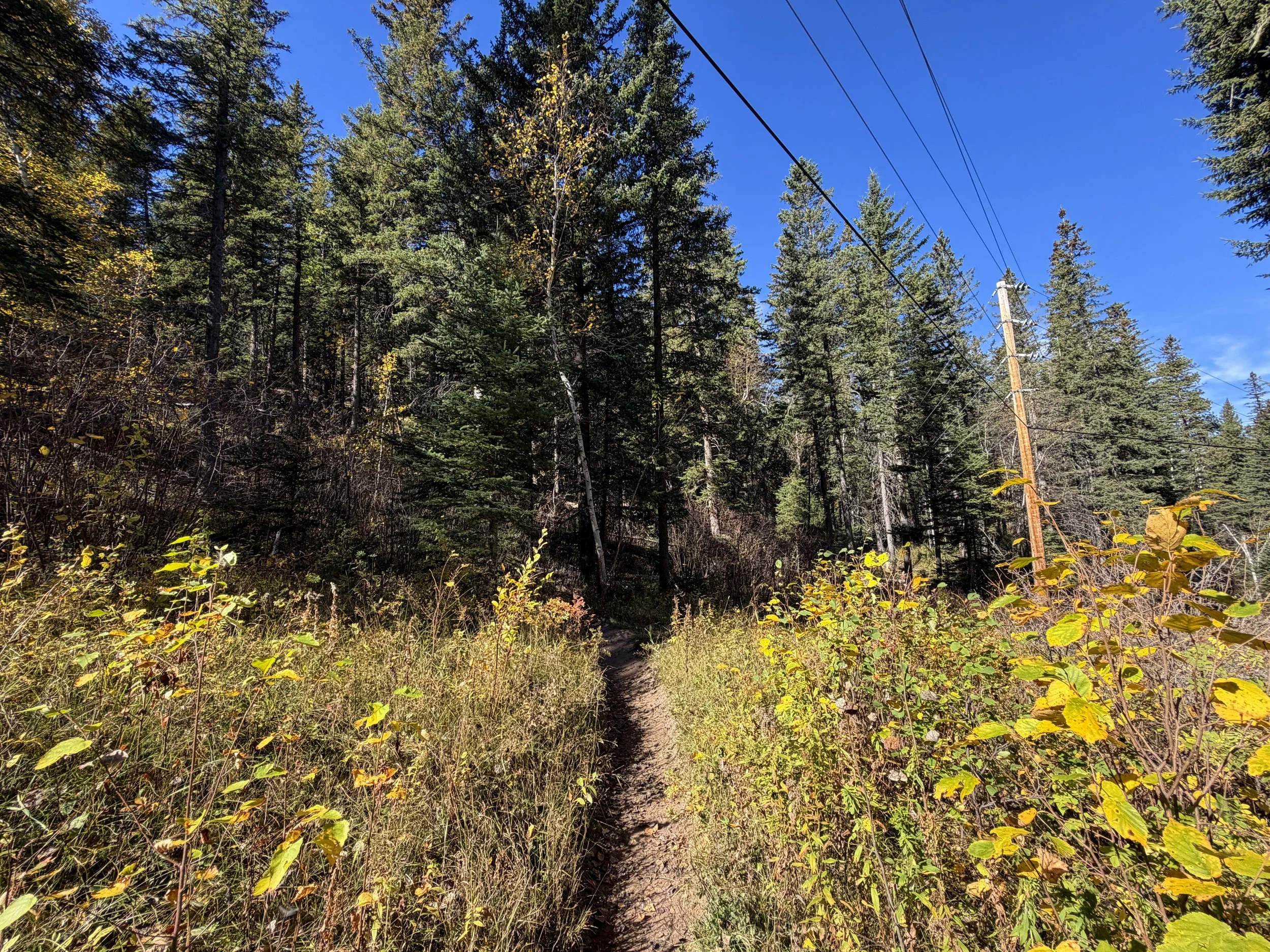 Sunday Gulch Trail Custer State Park Black Hills South Dakota