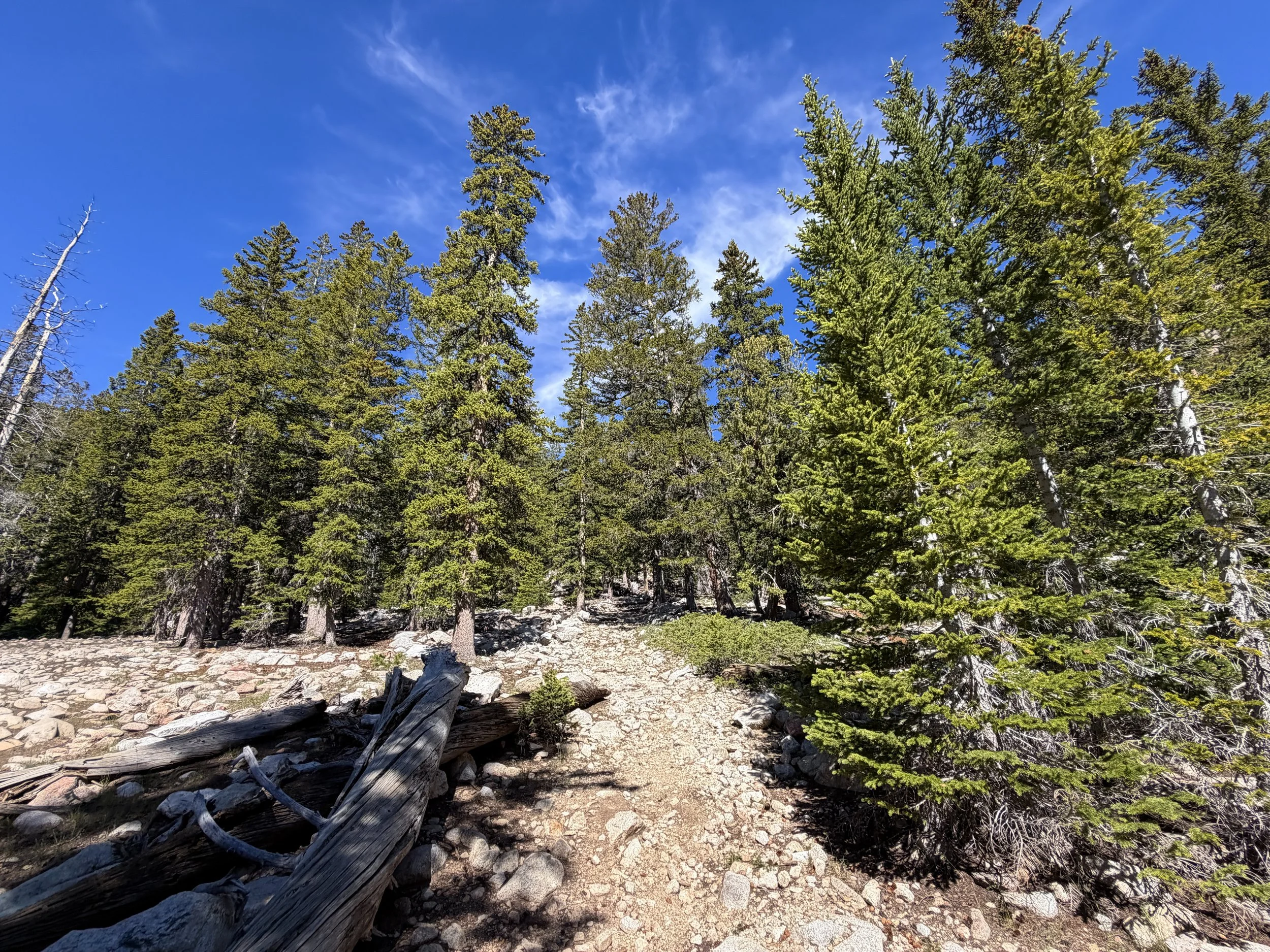 Johnson Lake Trail Great Basin National Park Nevada