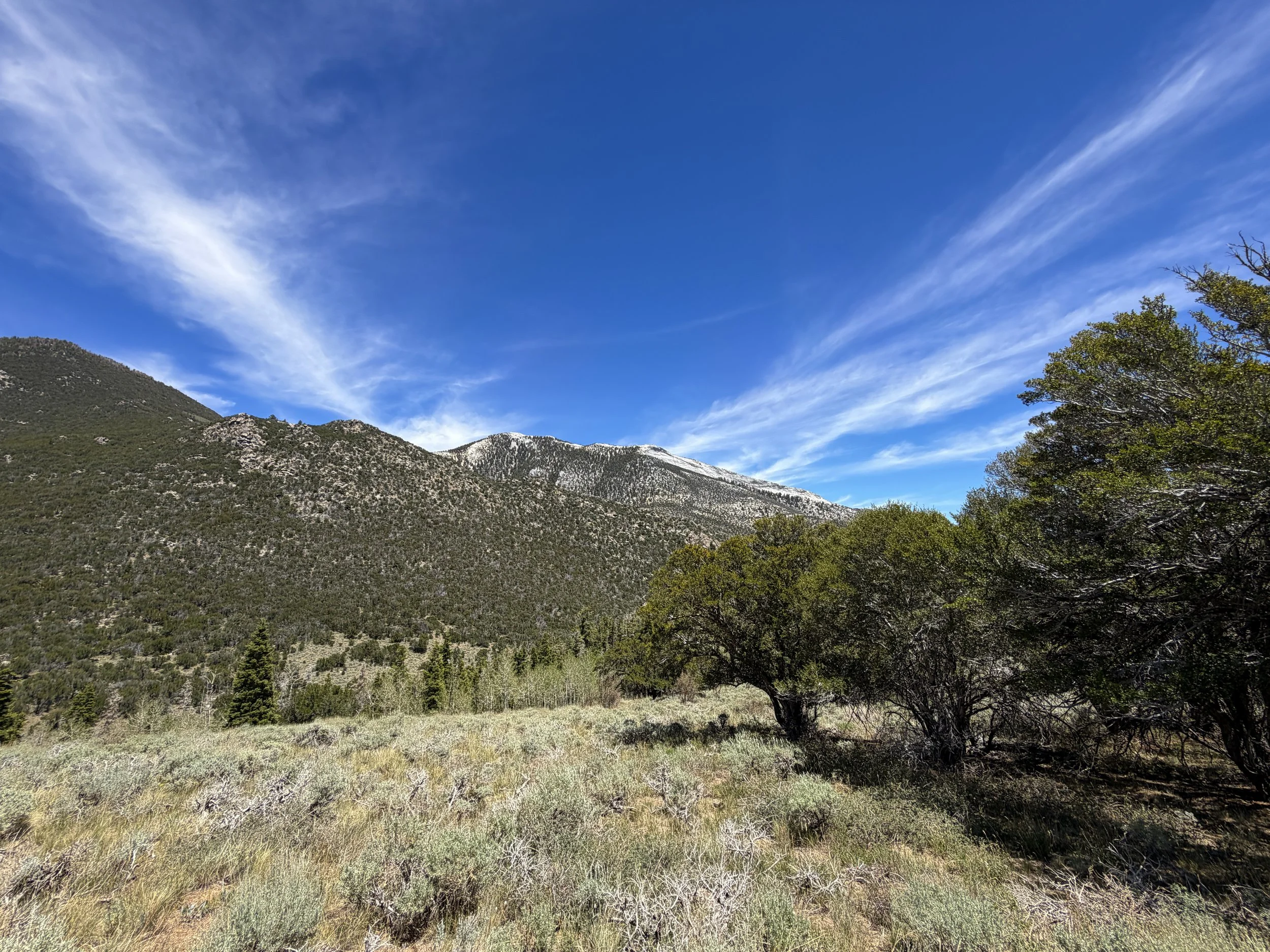 Serviceberry Loop Hike Great Basin National Park Nevada
