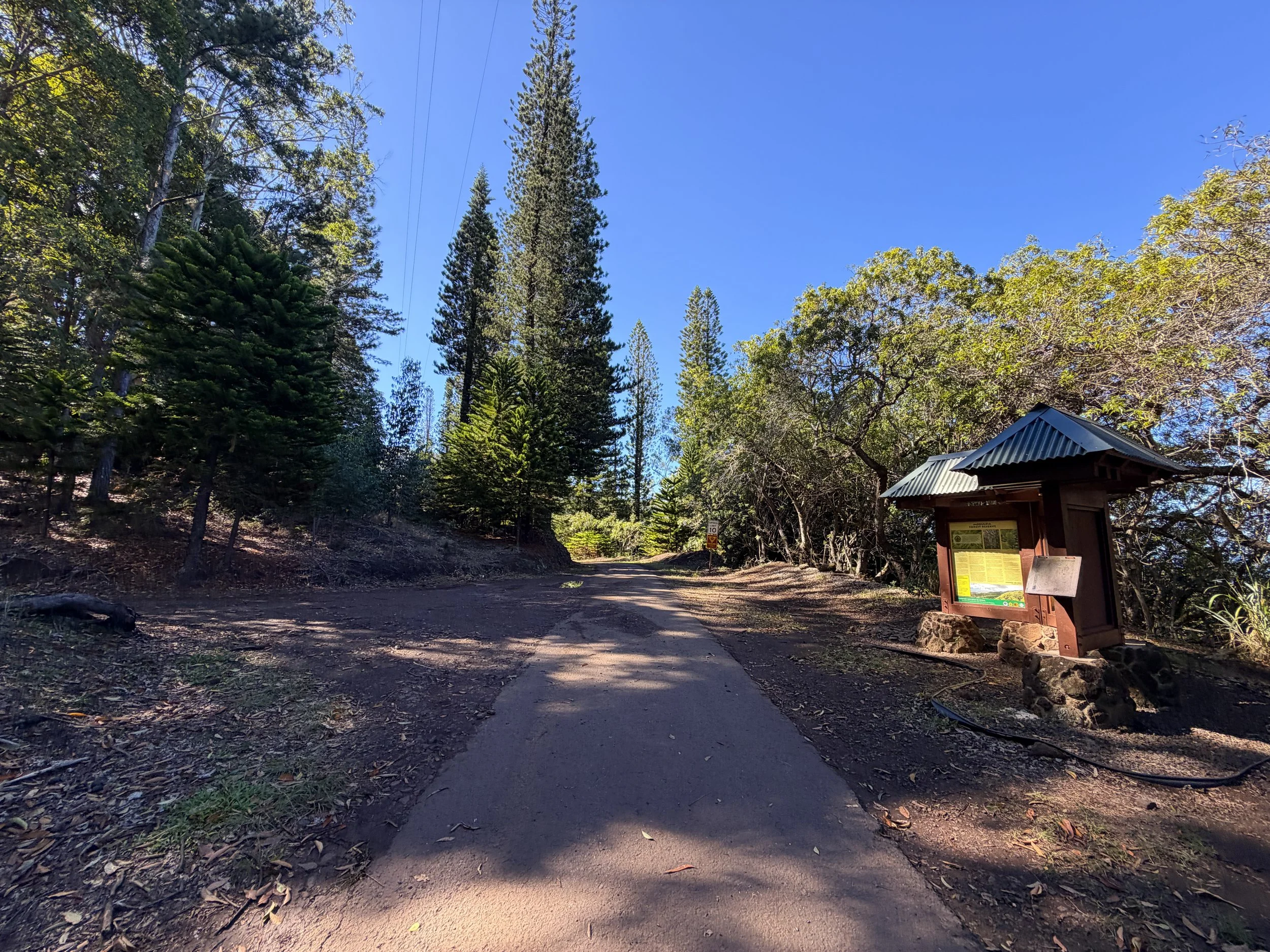Mokuleia Forest Reserve Access Road to Peacock Flats Oahu Hawaii