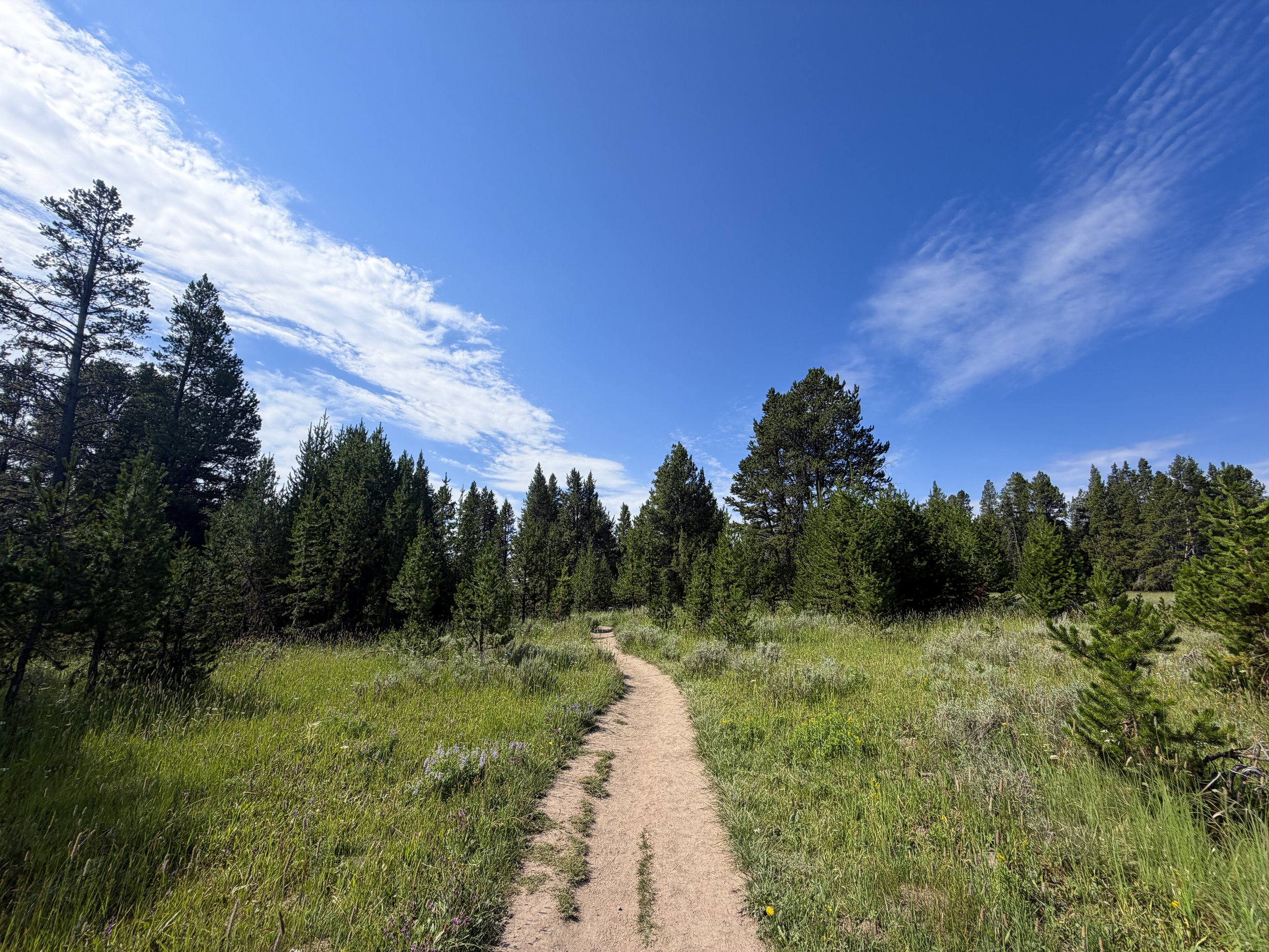 Storm Point Trail Yellowstone National Park Wyoming