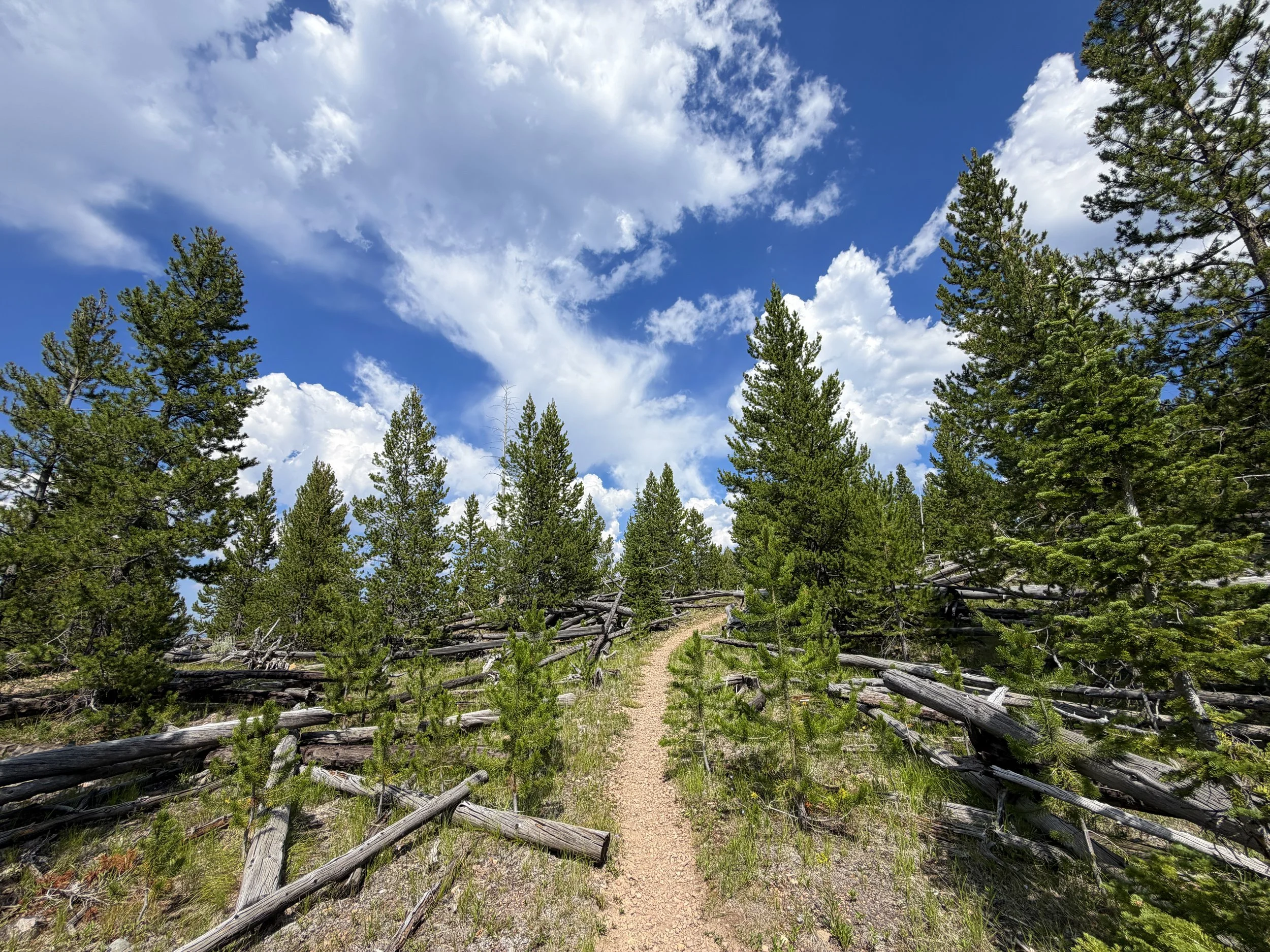 Bunsen Peak Trail Yellowstone National Park Wyoming