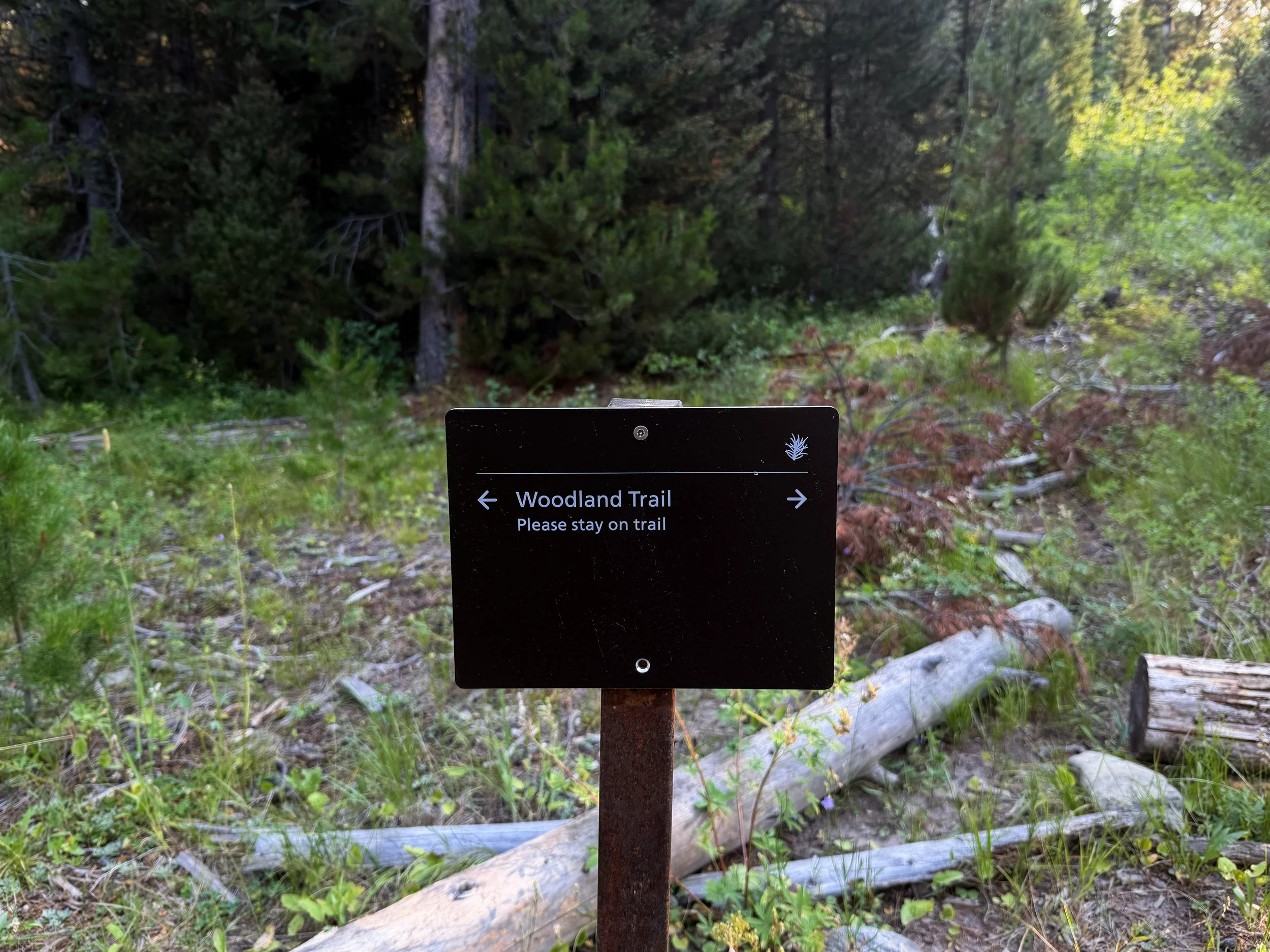 Boulder Ridge Loop Trail Grand Teton National Park Wyoming