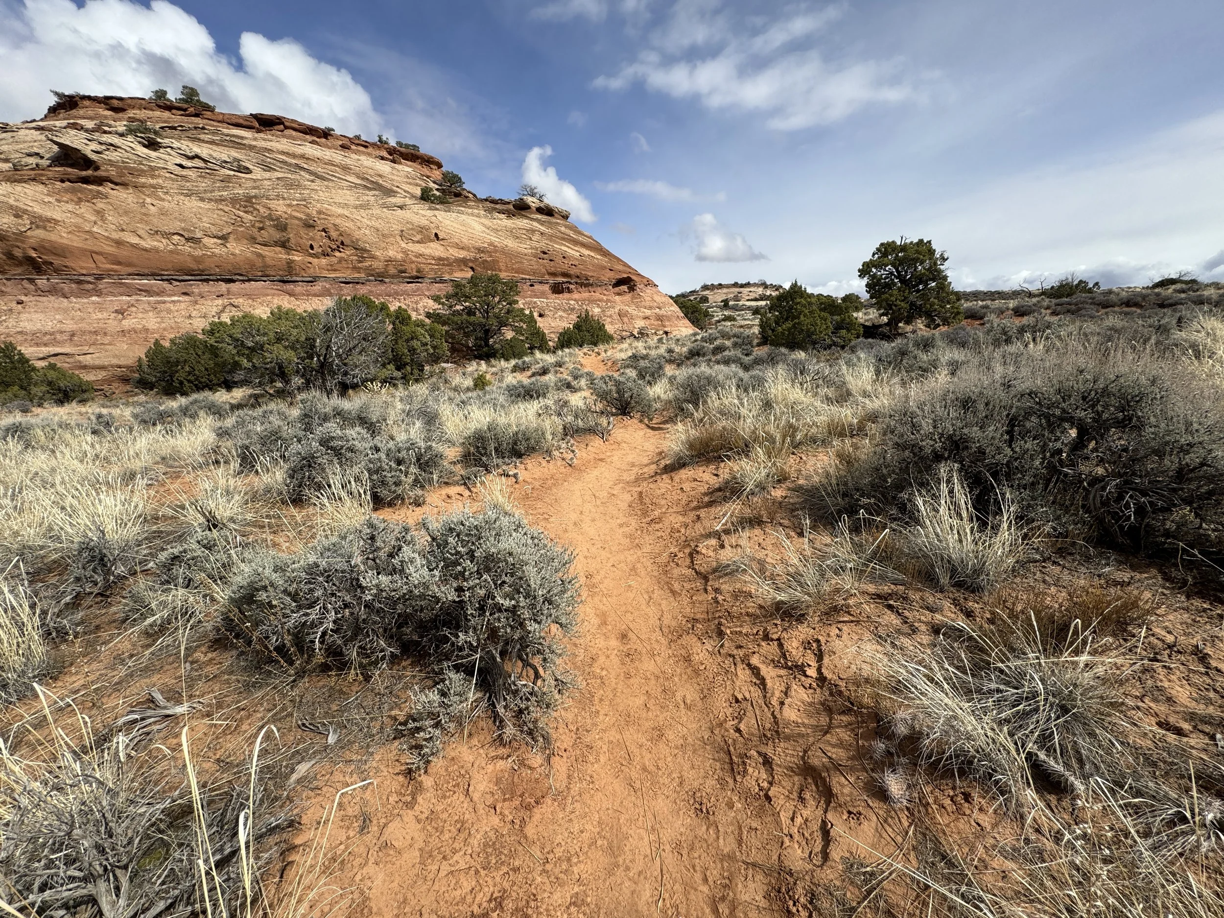 Hiking the Aztec Butte Trail in Canyonlands National Park — noahawaii