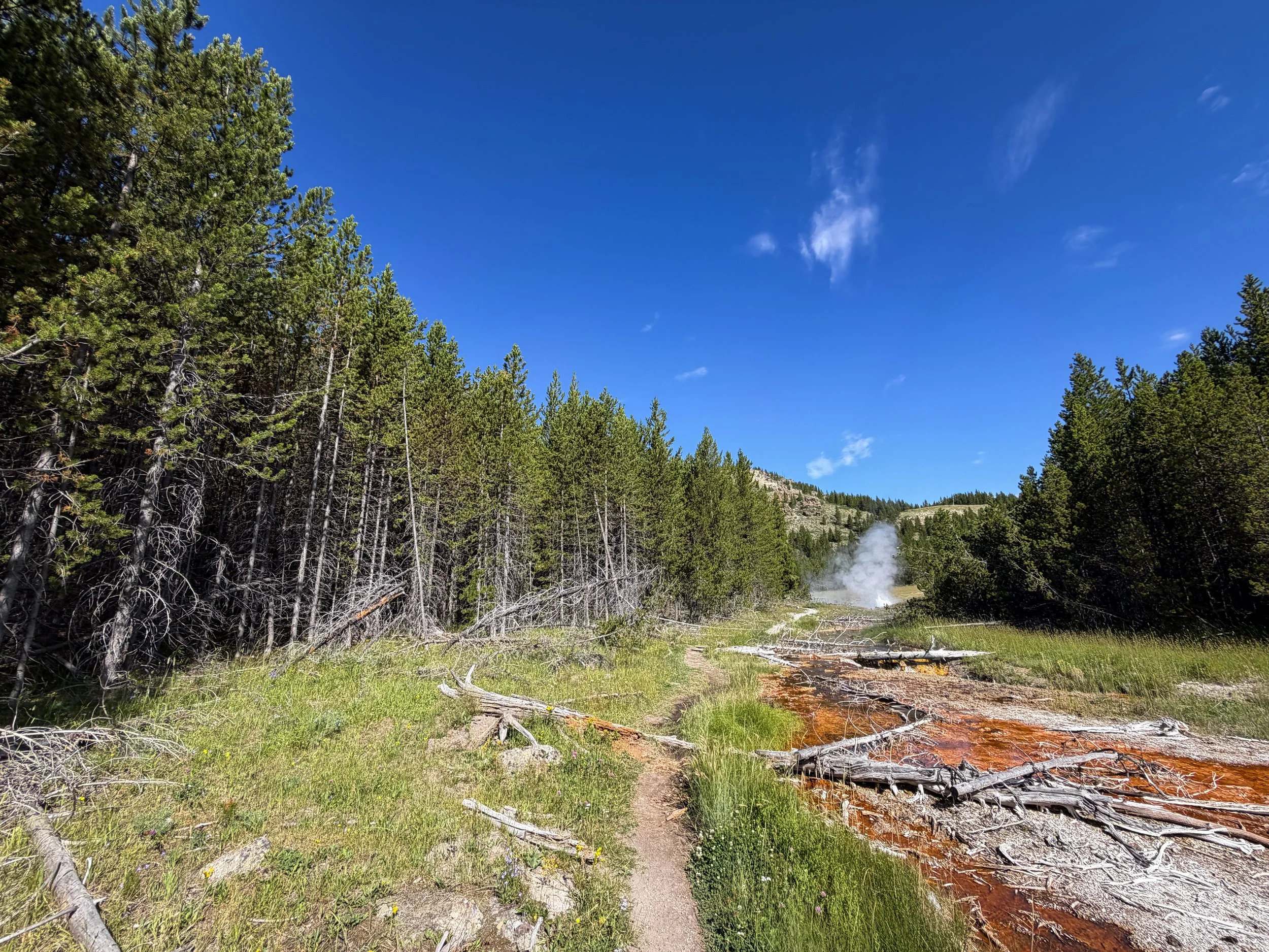 Imperial Geyser Trail Yellowstone National Park Wyoming