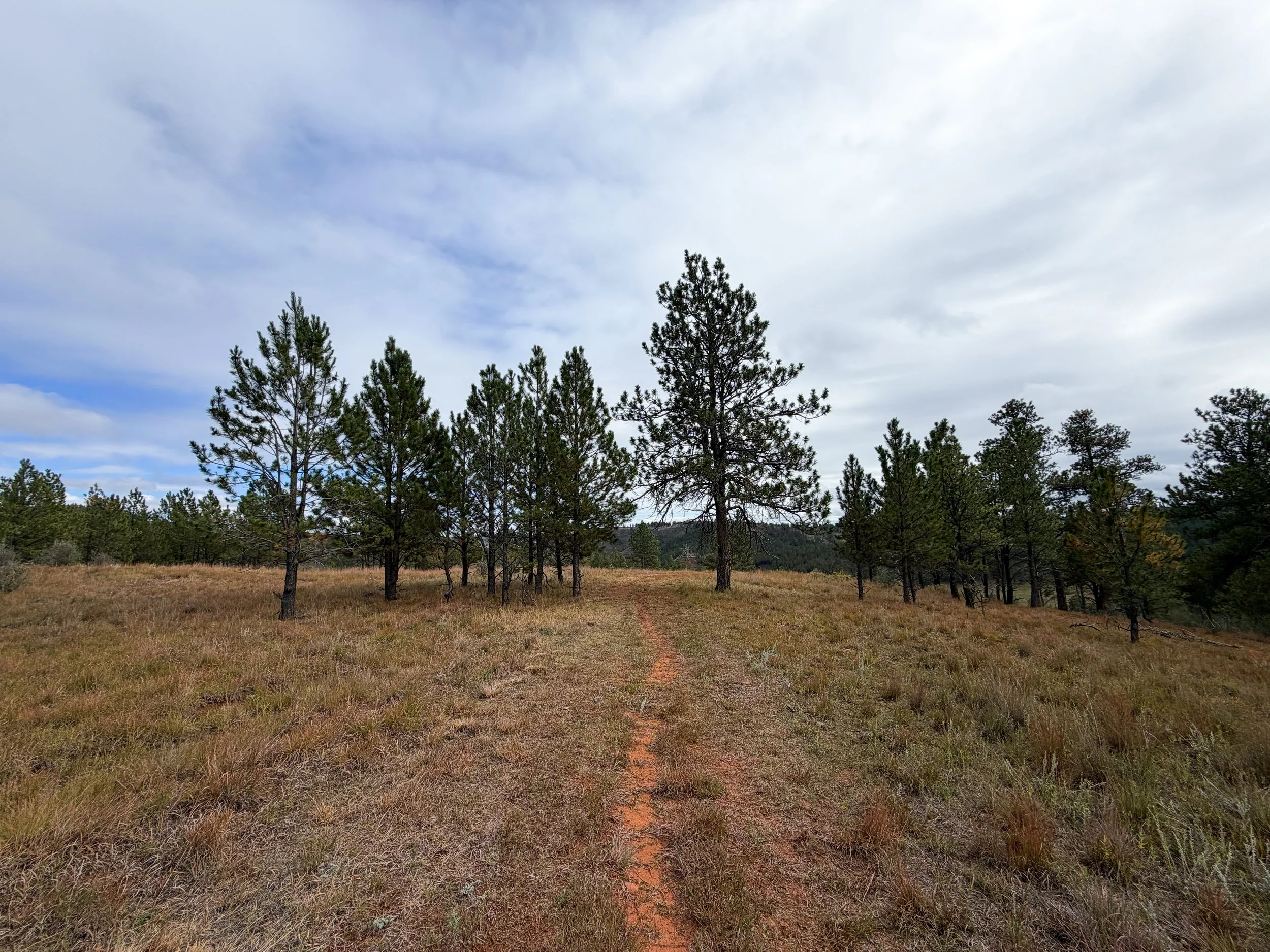 Highland Creek Trail to Wind Cave Canyon Wind Cave National Park South Dakota