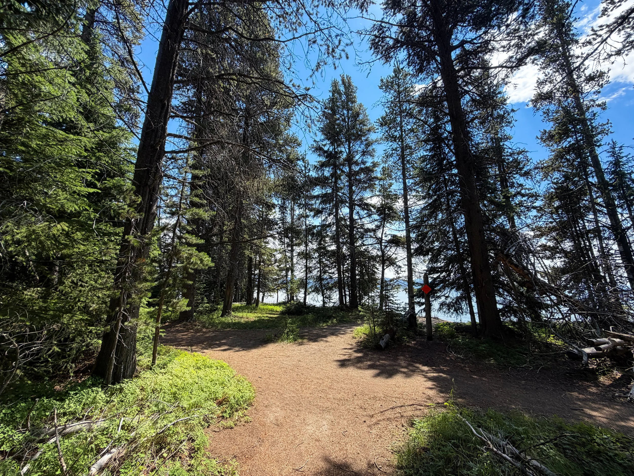 Storm Point Loop Trail Yellowstone National Park Wyoming