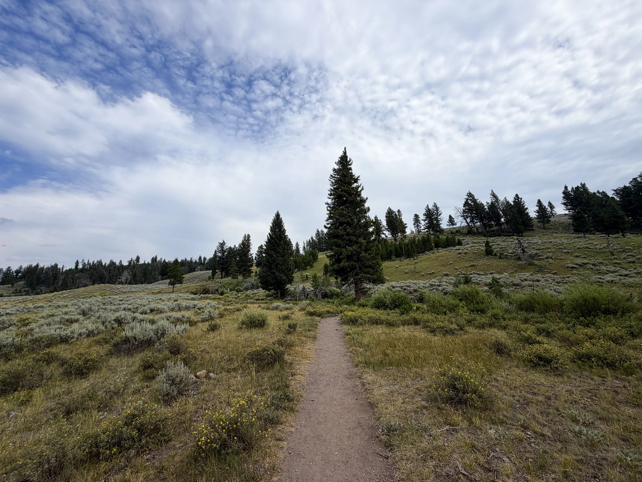 Wraith Falls Trail Yellowstone National Park Wyoming
