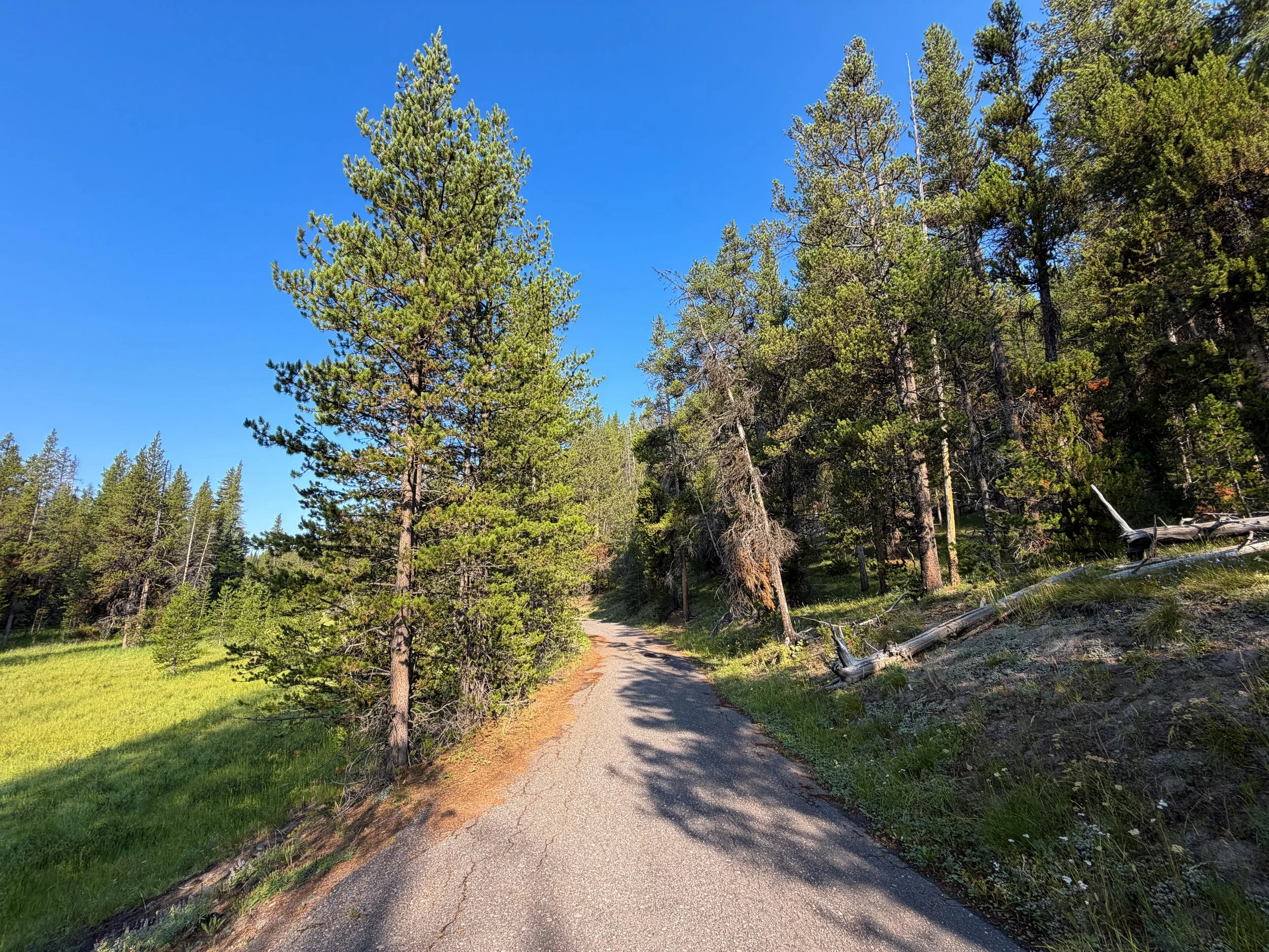 Natural Bridge Hike Yellowstone National Park Wyoming