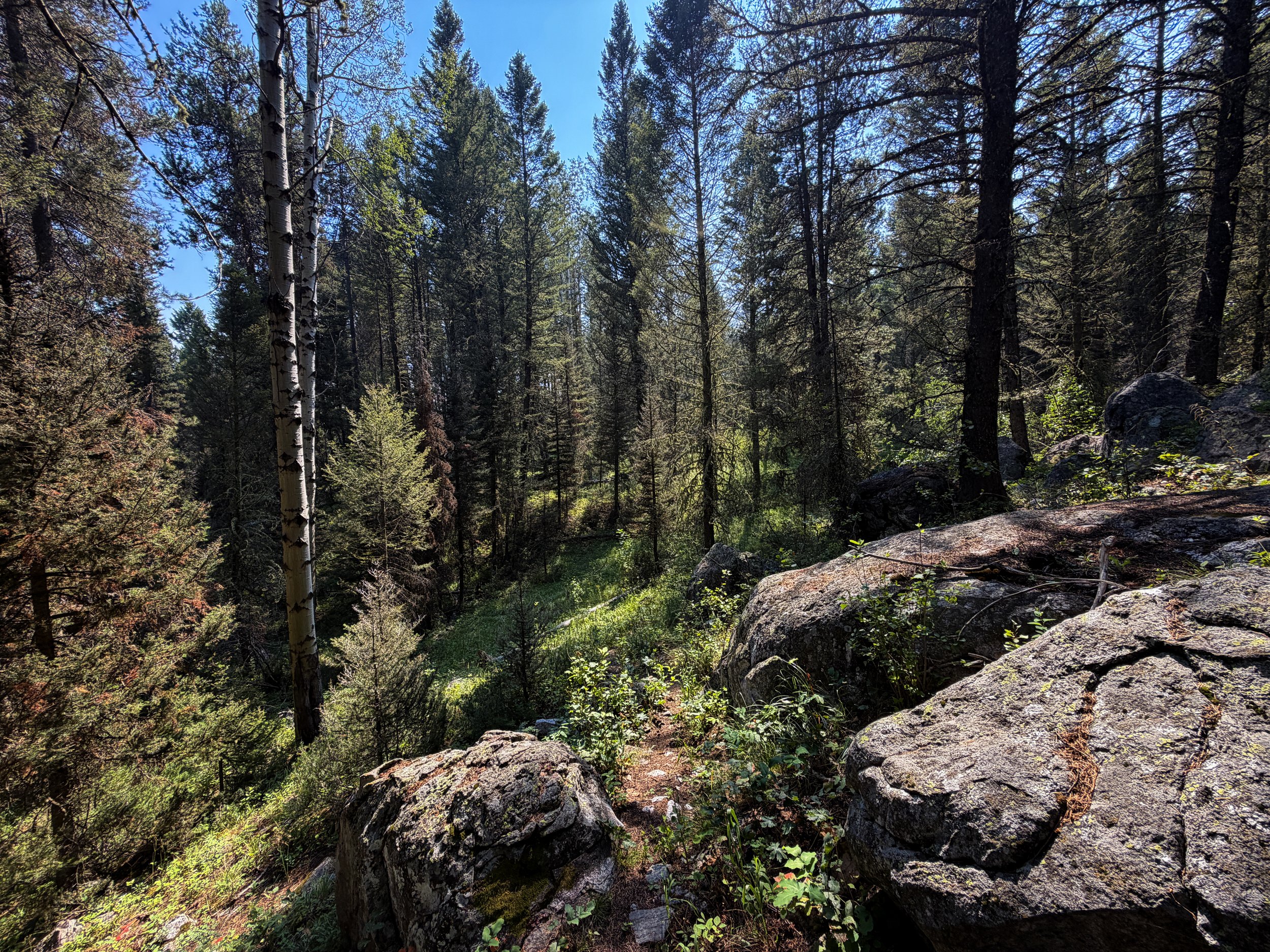 Boulder Field Trail Grand Teton National Park Wyoming