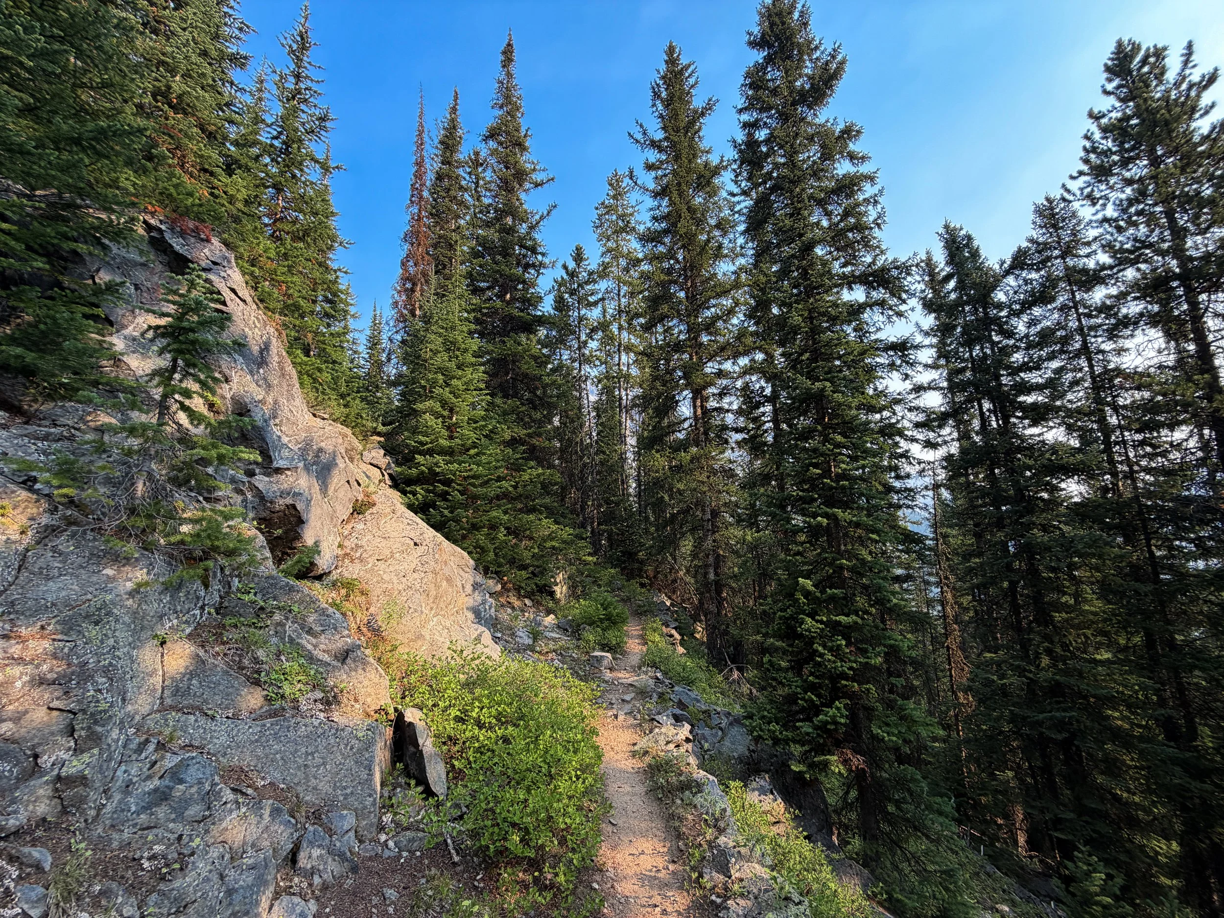 Beaten Path Trail Beartooth Mountains Montana