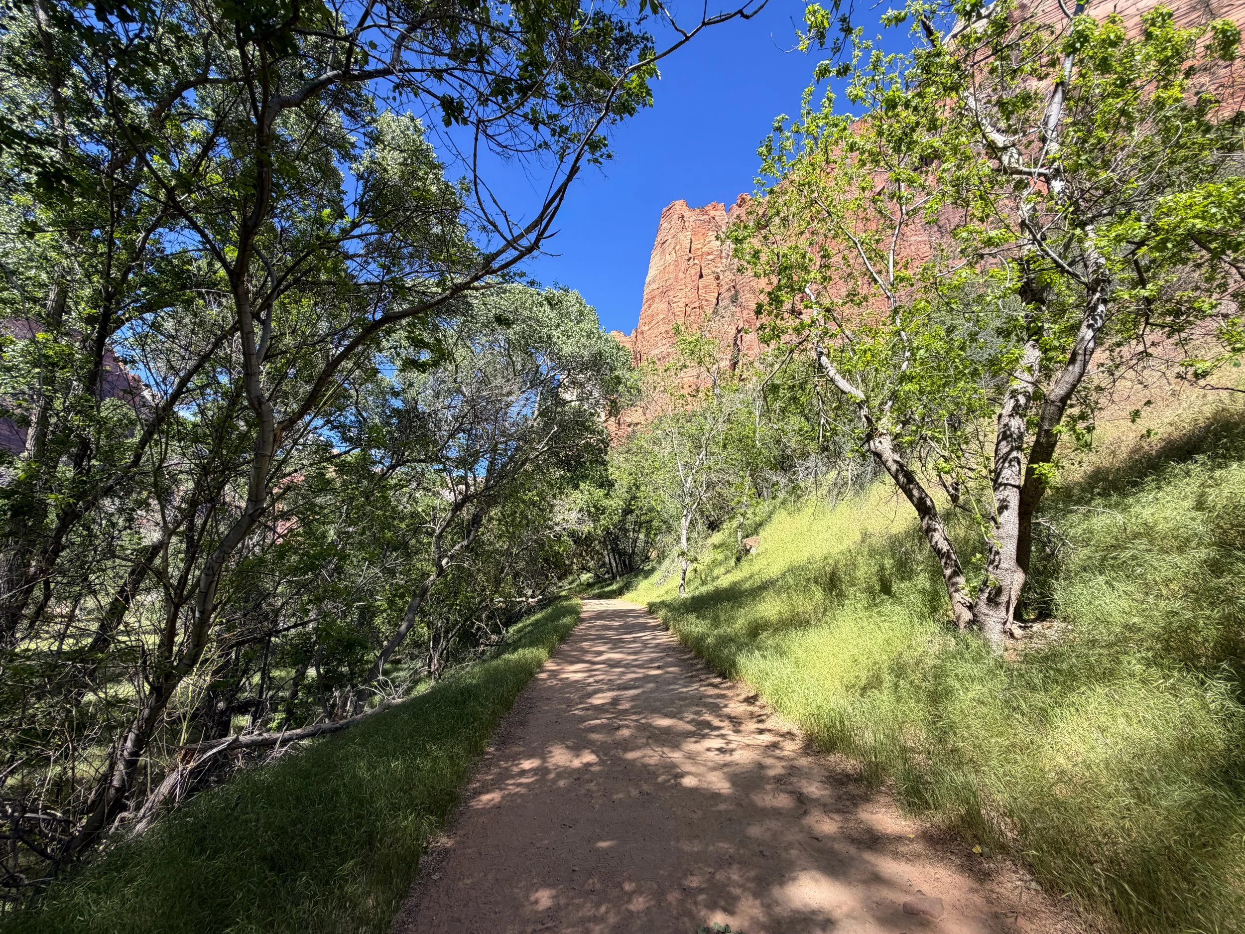 Grotto Trail Zion National Park Utah