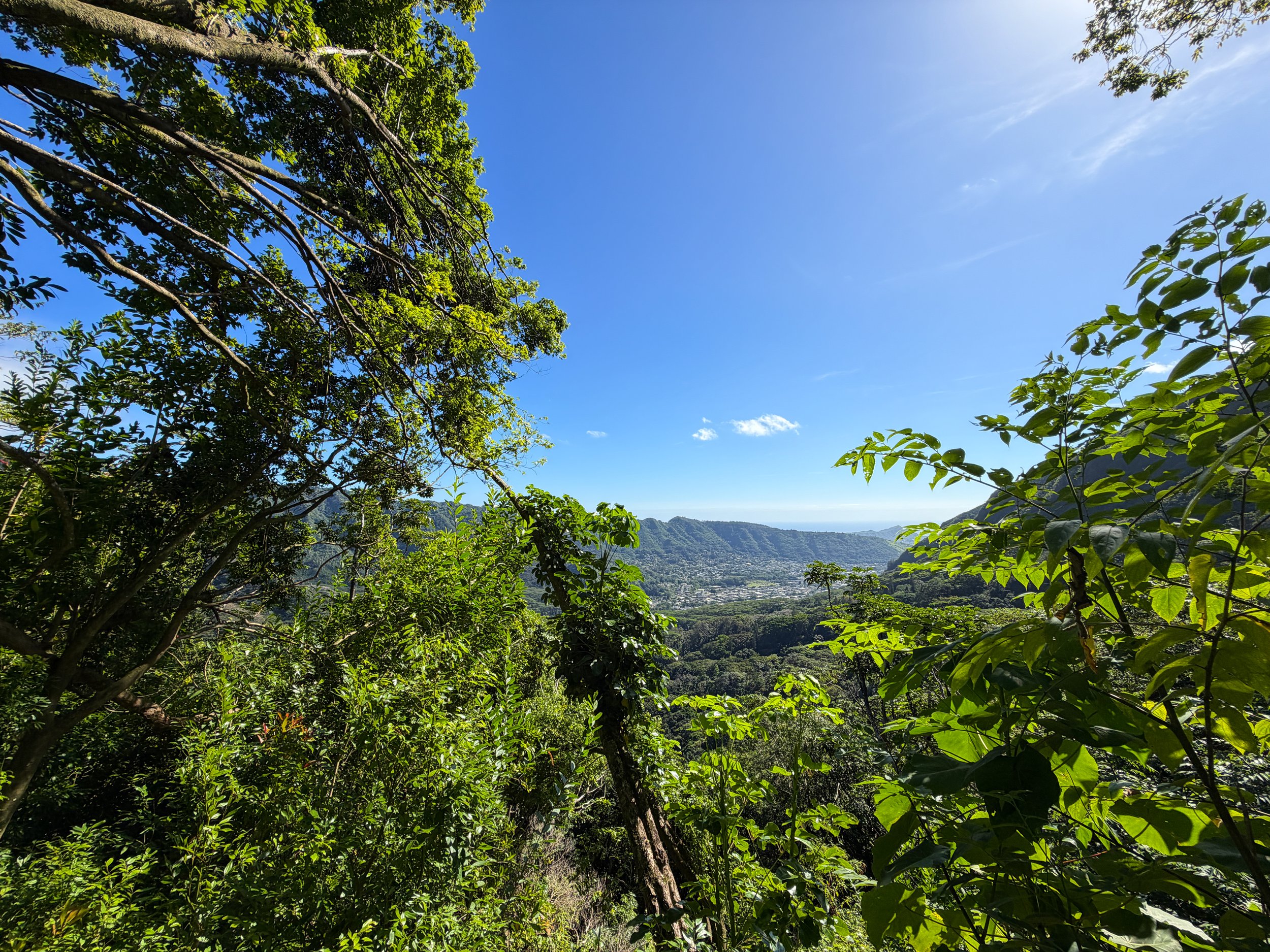 Manoa Valley Aihualama Trail Oahu Hawaii