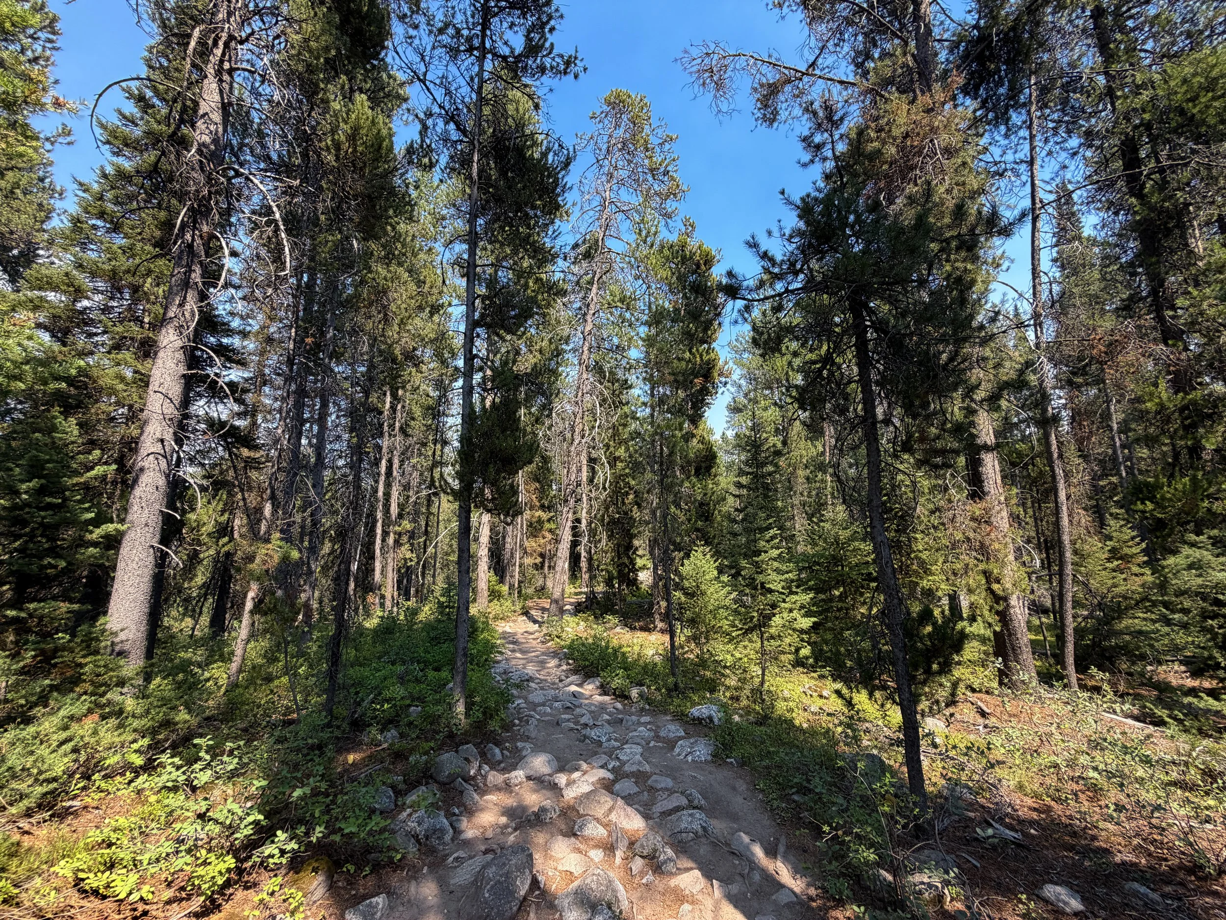 Phelps Lake Loop Trail Grand Teton National Park Wyoming