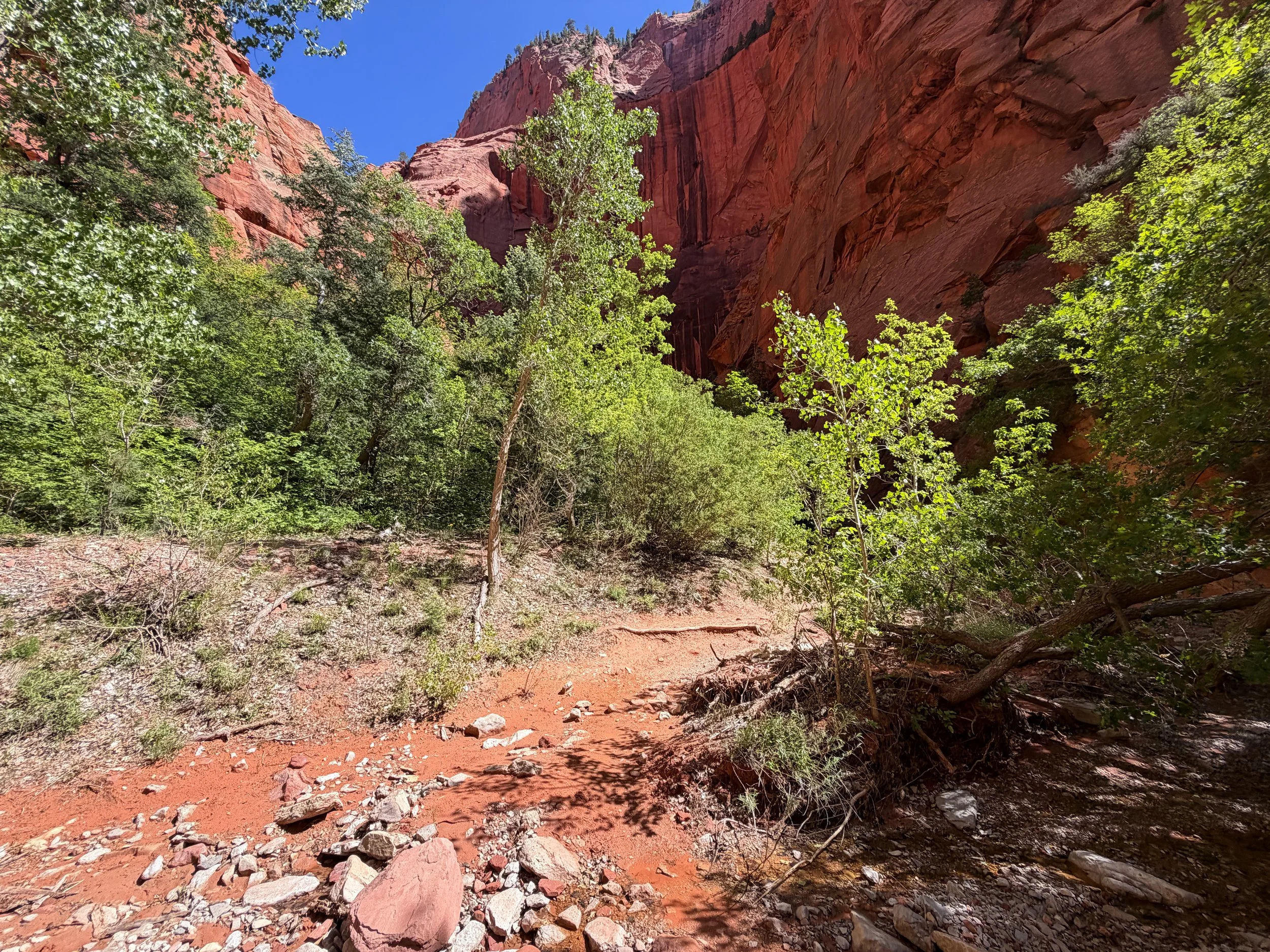 Taylor Creek Trail Zion National Park Utah
