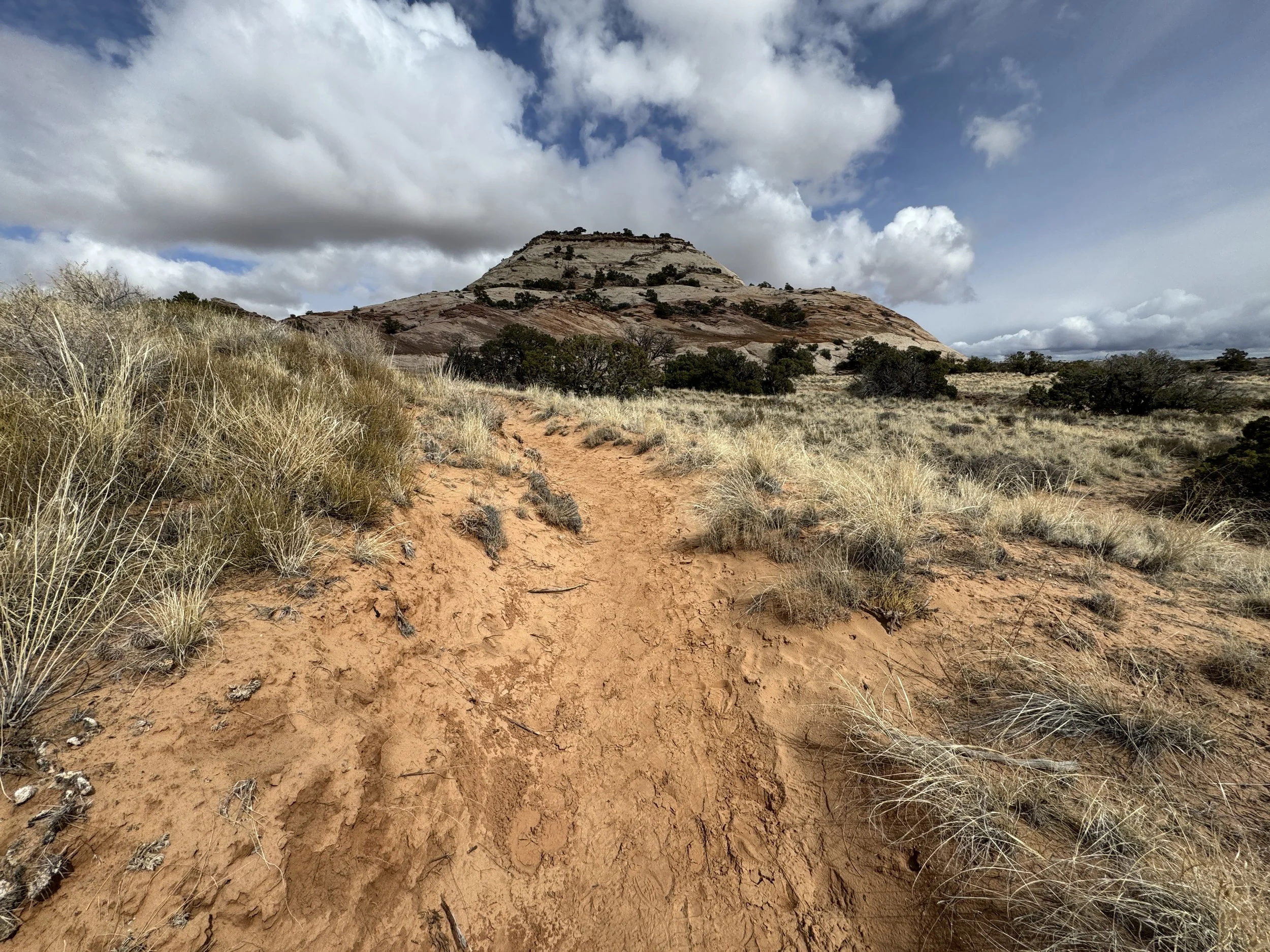 Hiking the Aztec Butte Trail in Canyonlands National Park — noahawaii