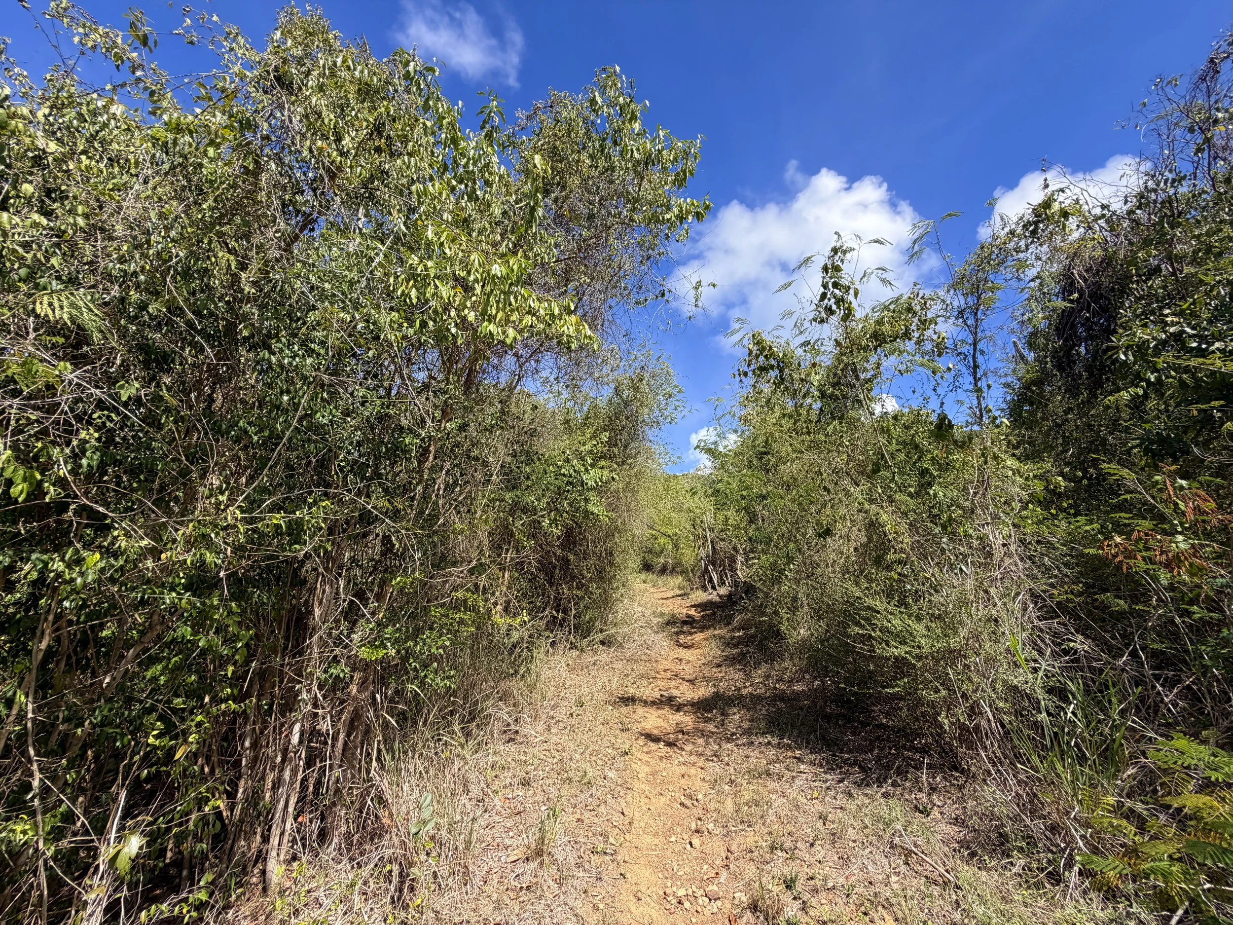 Lameshur Bay Trail Virgin Islands National Park