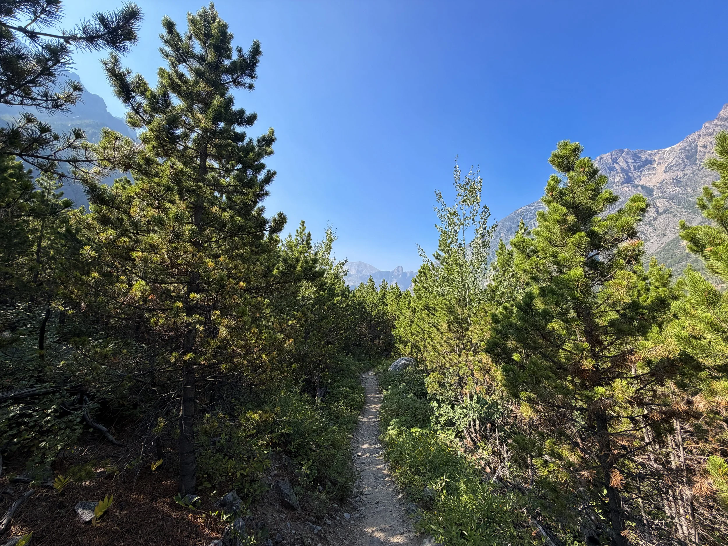 East Rosebud Trail Beartooth Mountains Montana