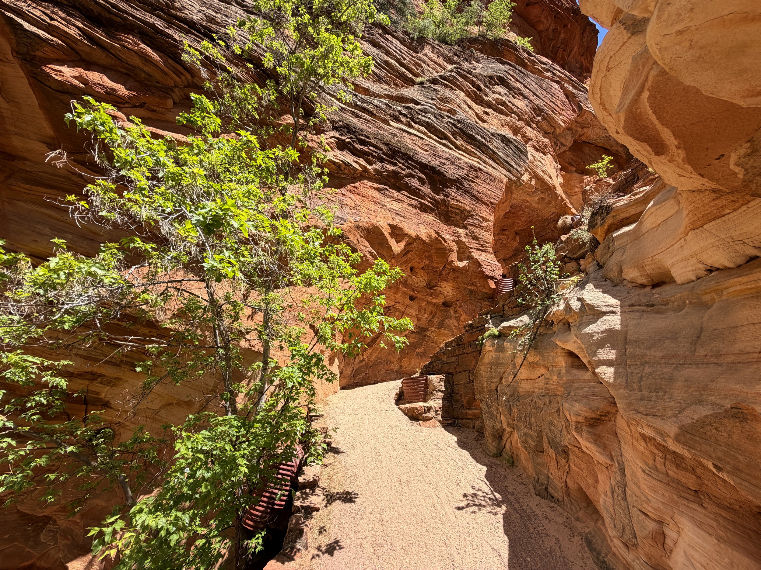 Angels Landing Trail Walters Wiggles Zion National Park Utah