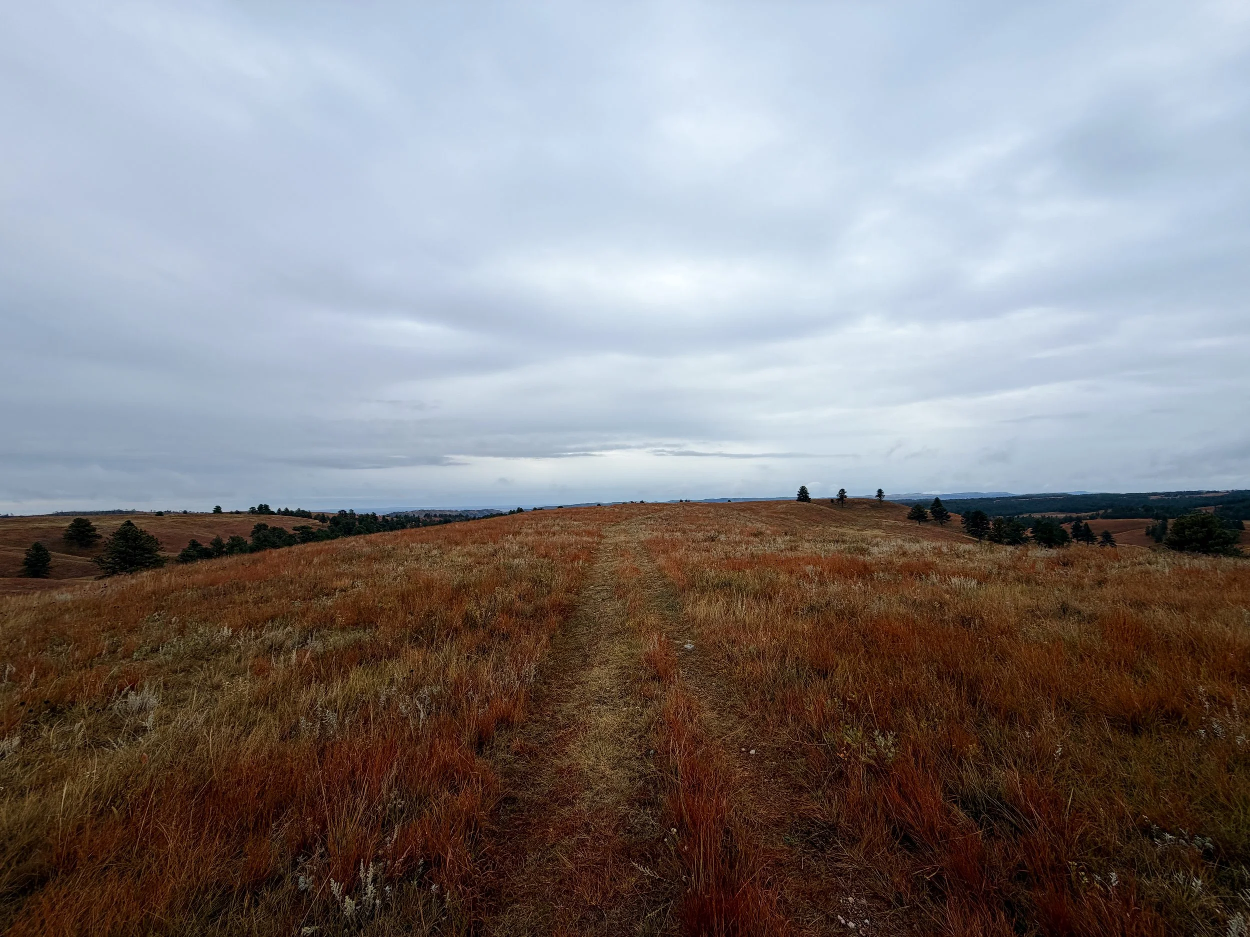 Highland Creek Trail Wind Cave National Park South Dakota