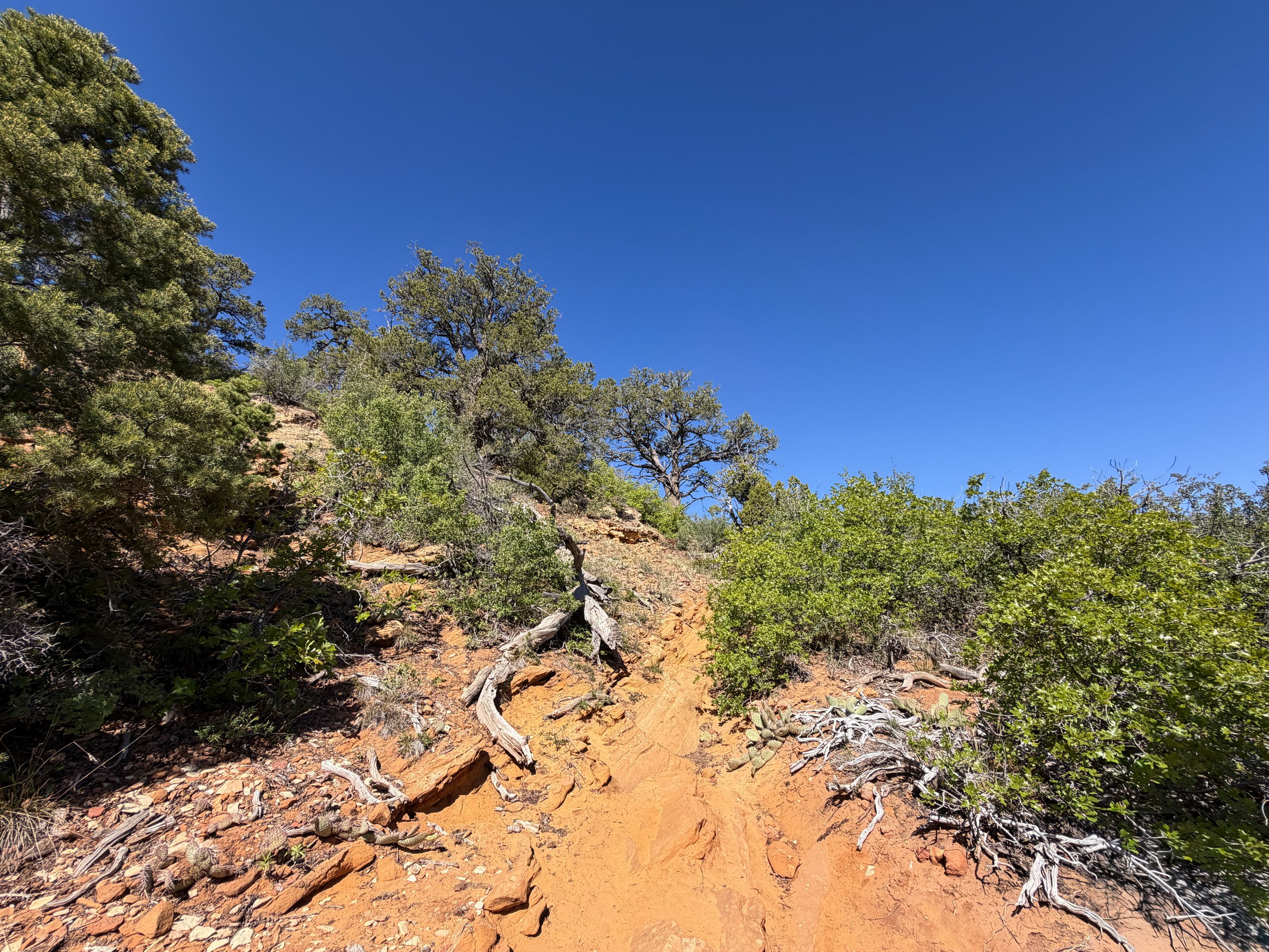 Deertrap Mountain Trail Zion National Park Utah
