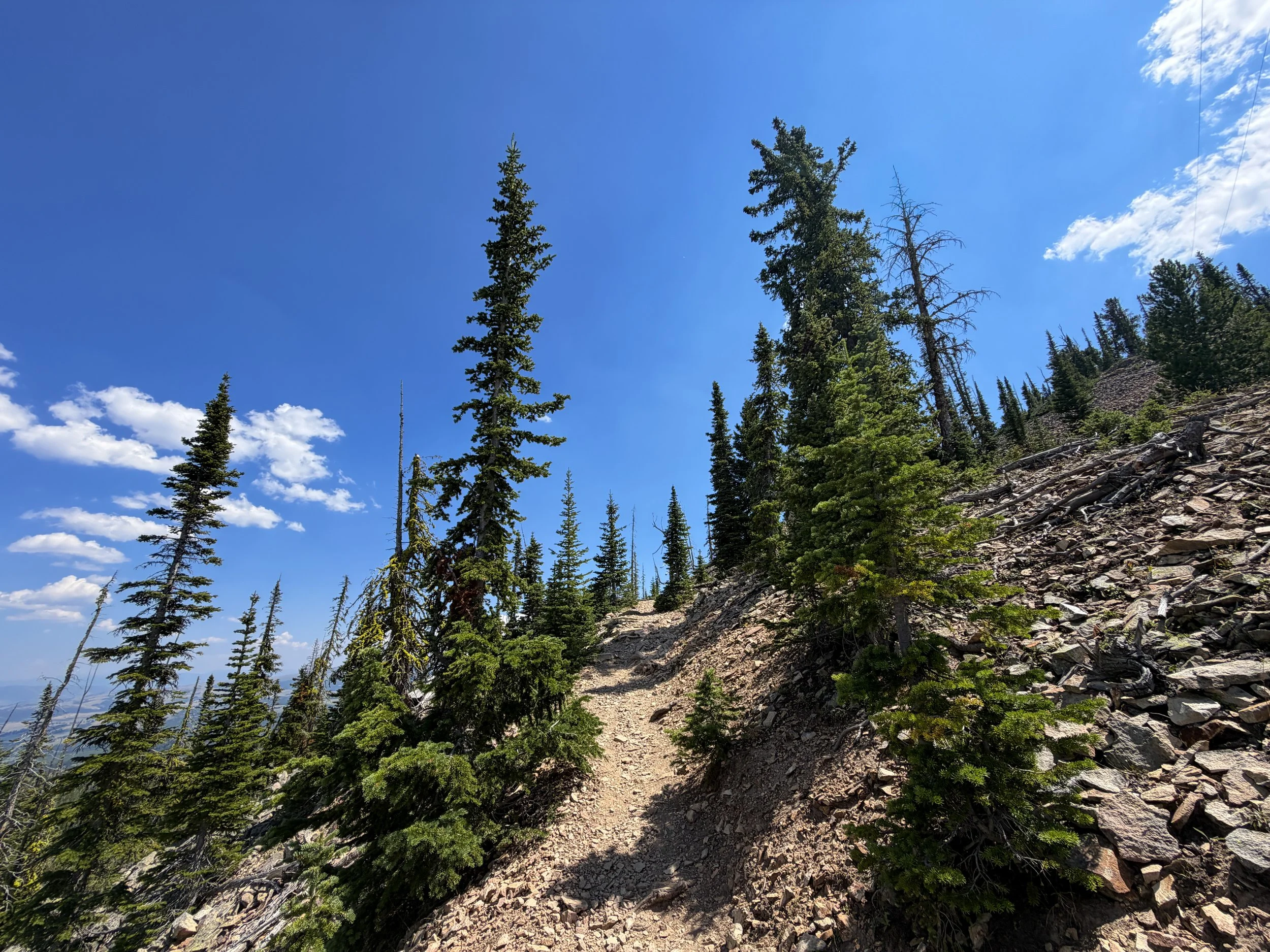 Bunsen Peak Trail Yellowstone National Park Wyoming