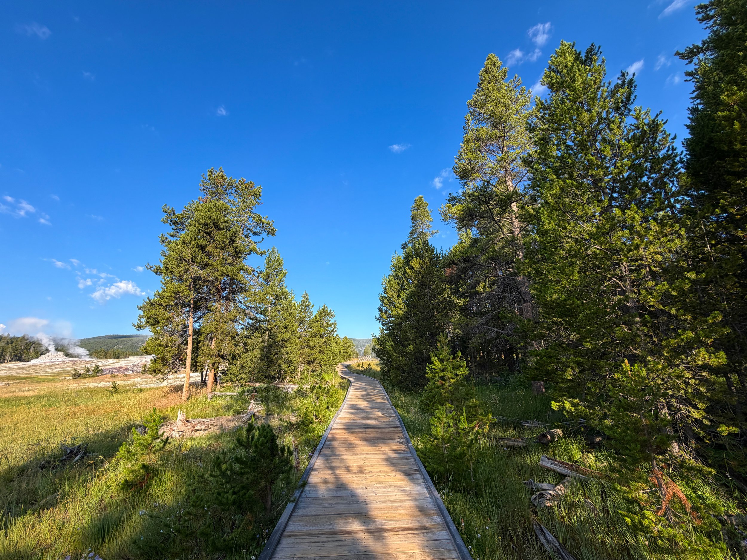 Upper Geyser Basin Trail Yellowstone National Park Wyoming